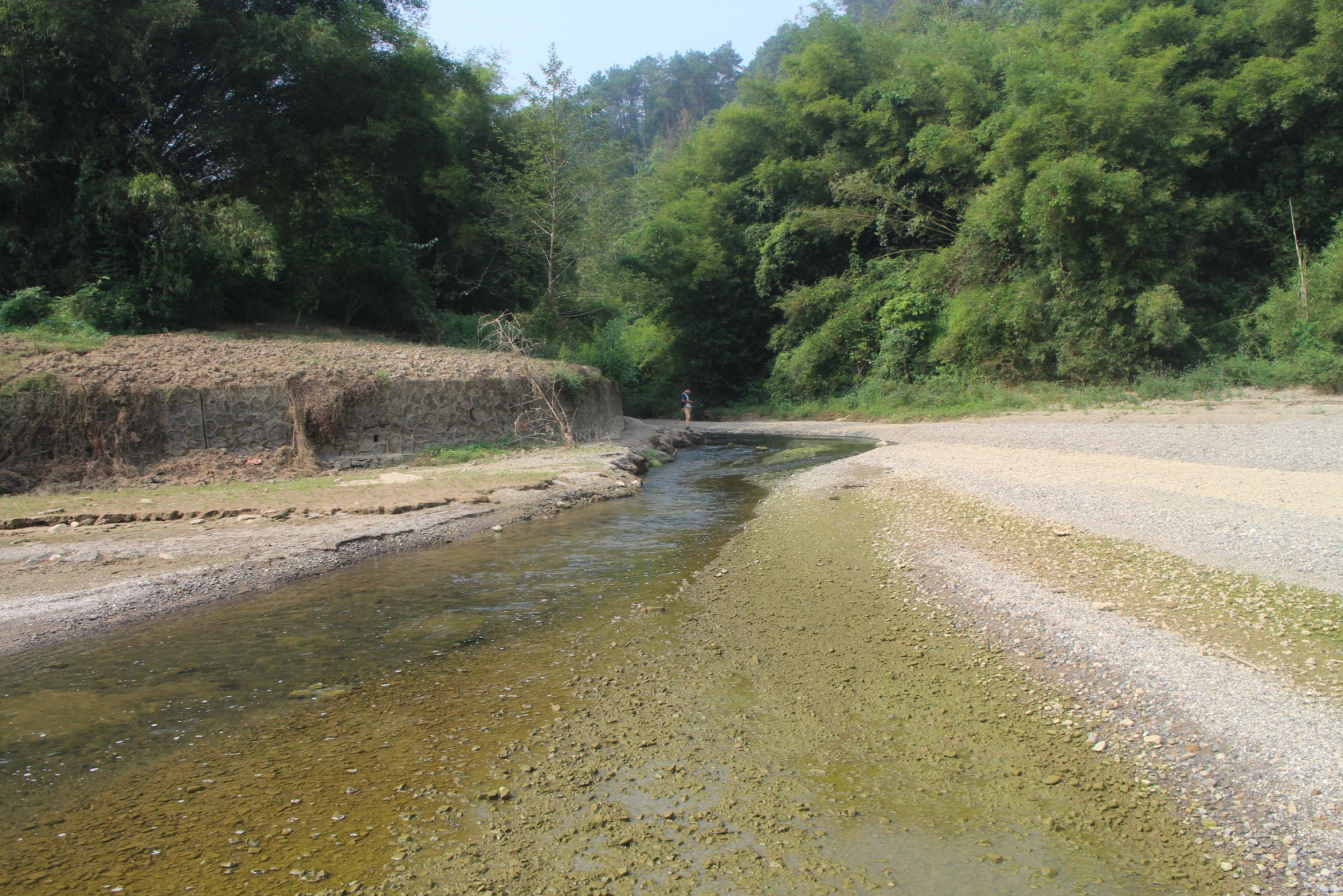 樟桂河