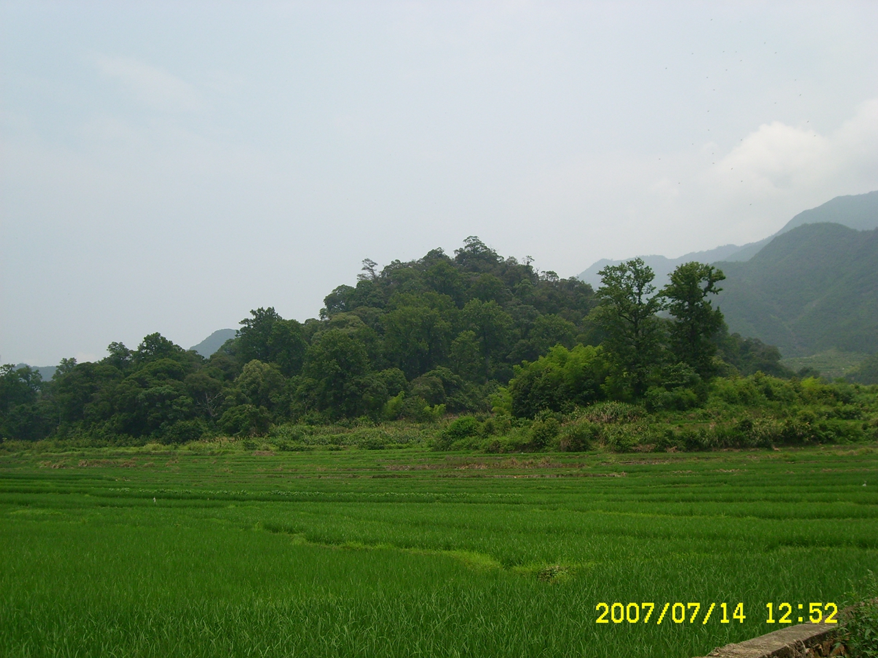 庆元县黄坛墓庵山闽楠自然保护小区