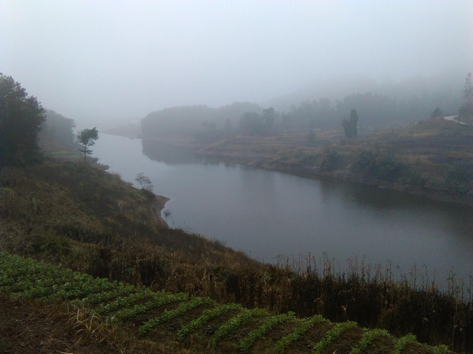 鹦鹉水库