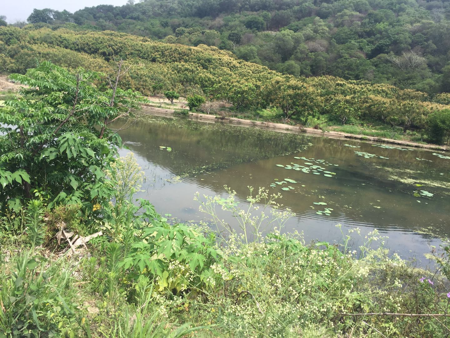 宫顶水库