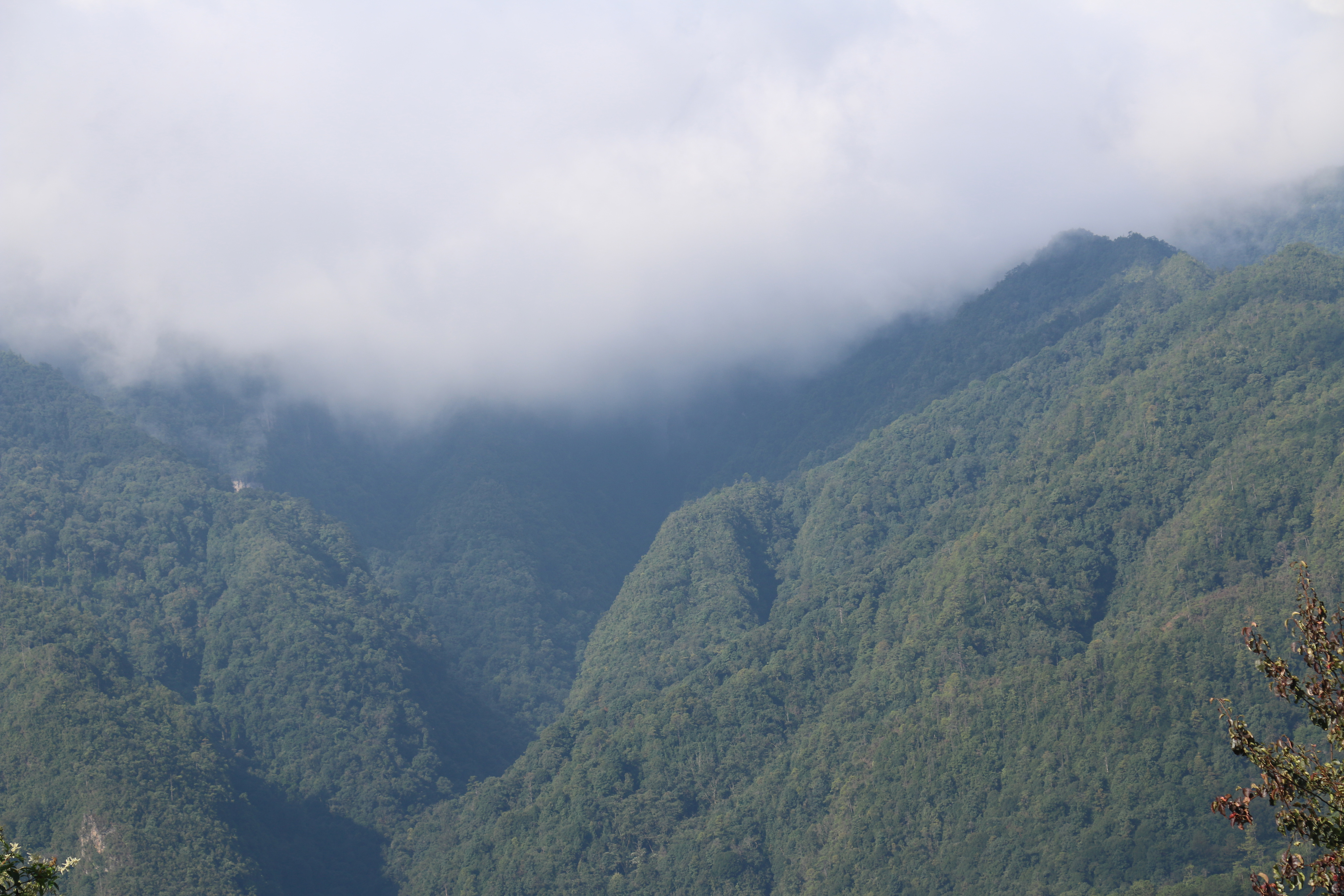 无量山国家级自然保护区