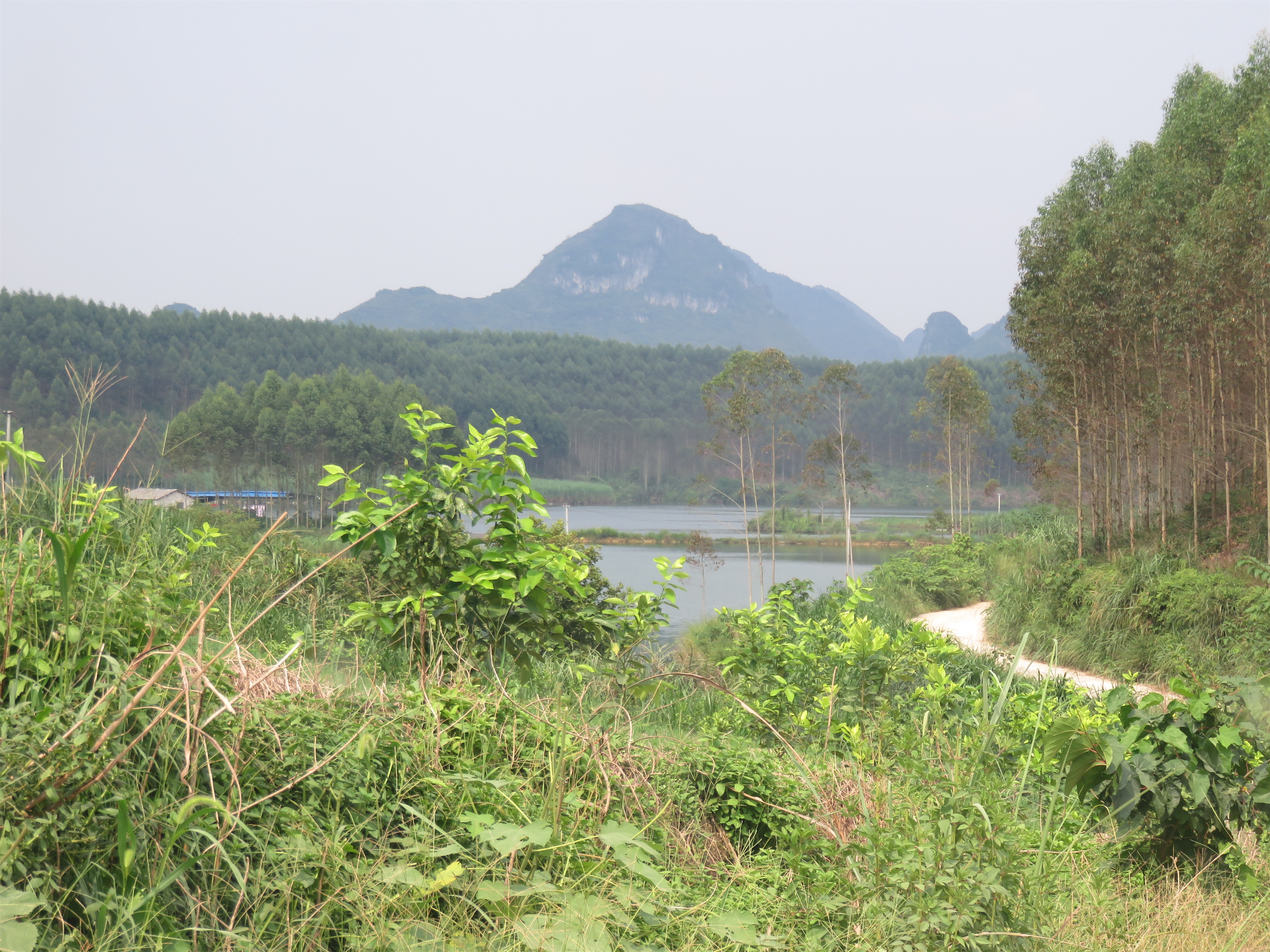 芦笛水库