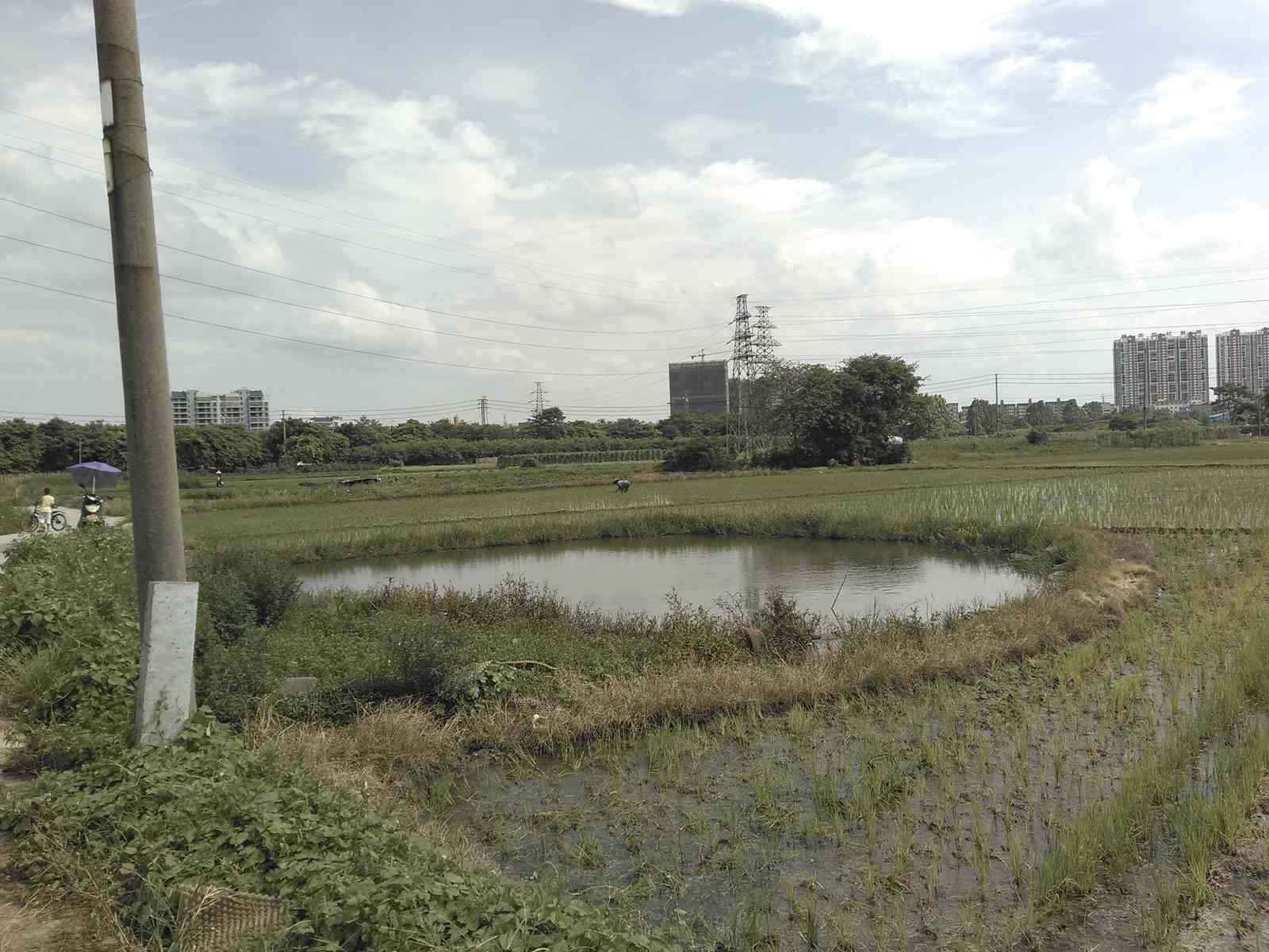 本光汶