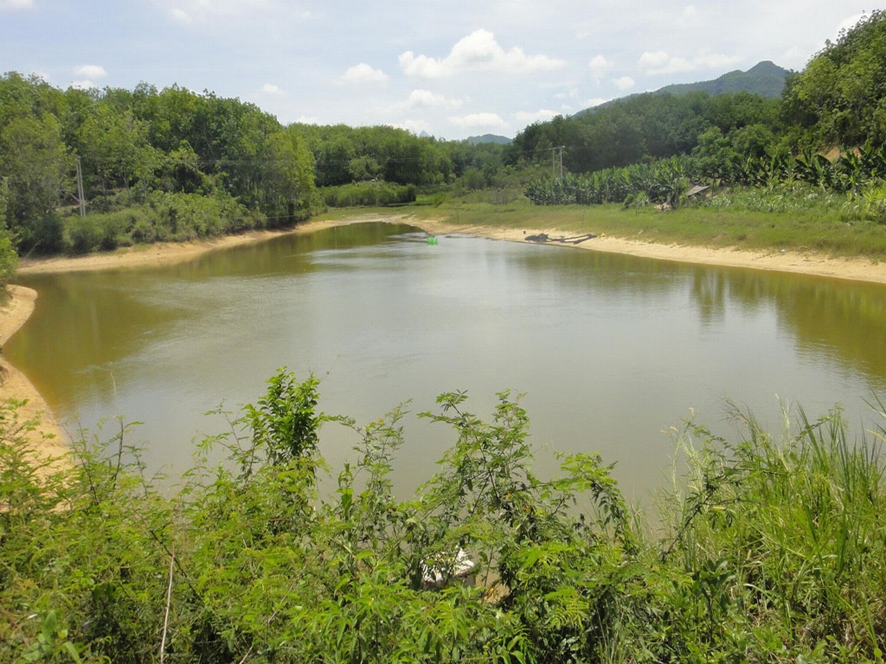 冲顺水库