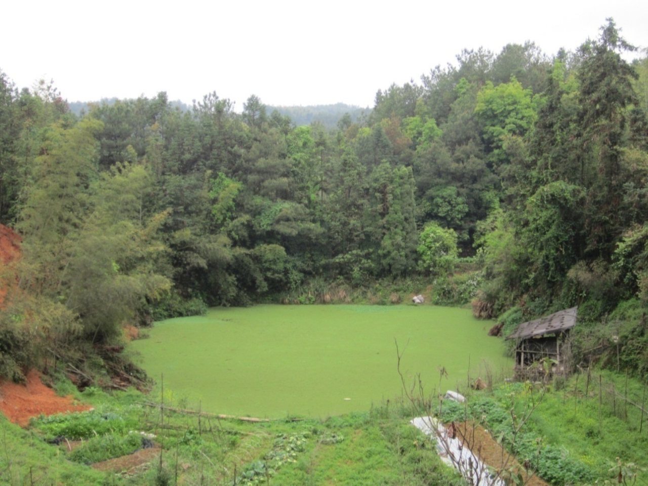 东湖水库