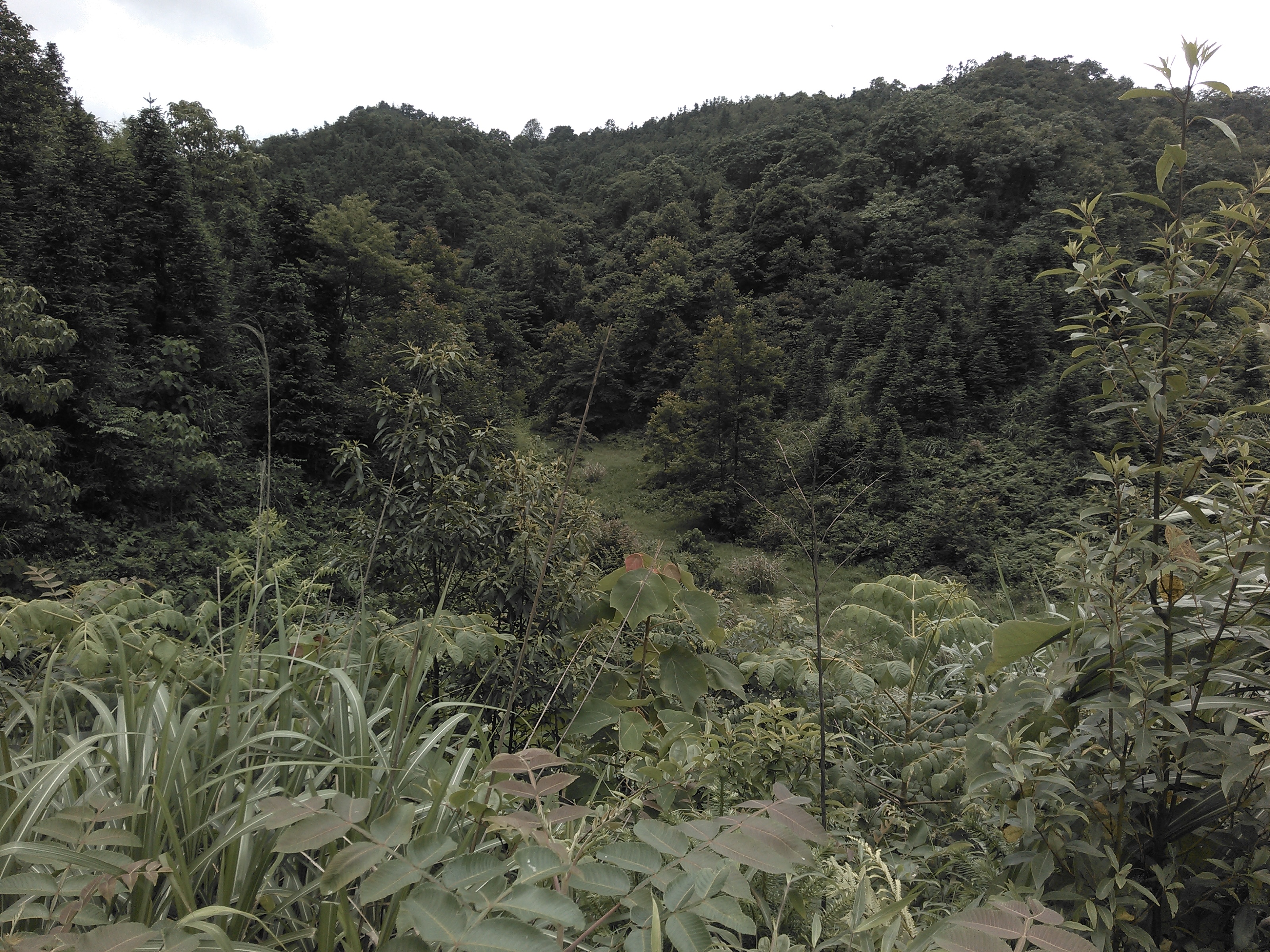 烂荡水库