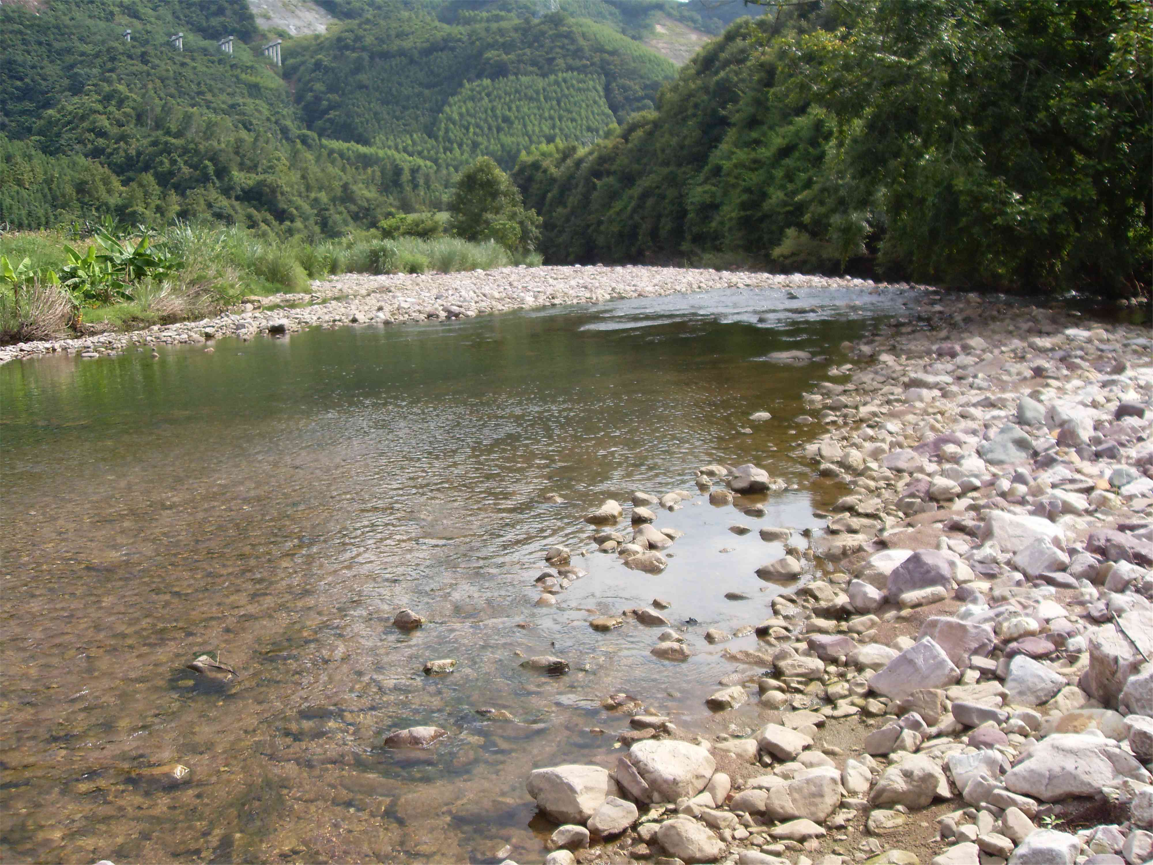 黄瑶顺河