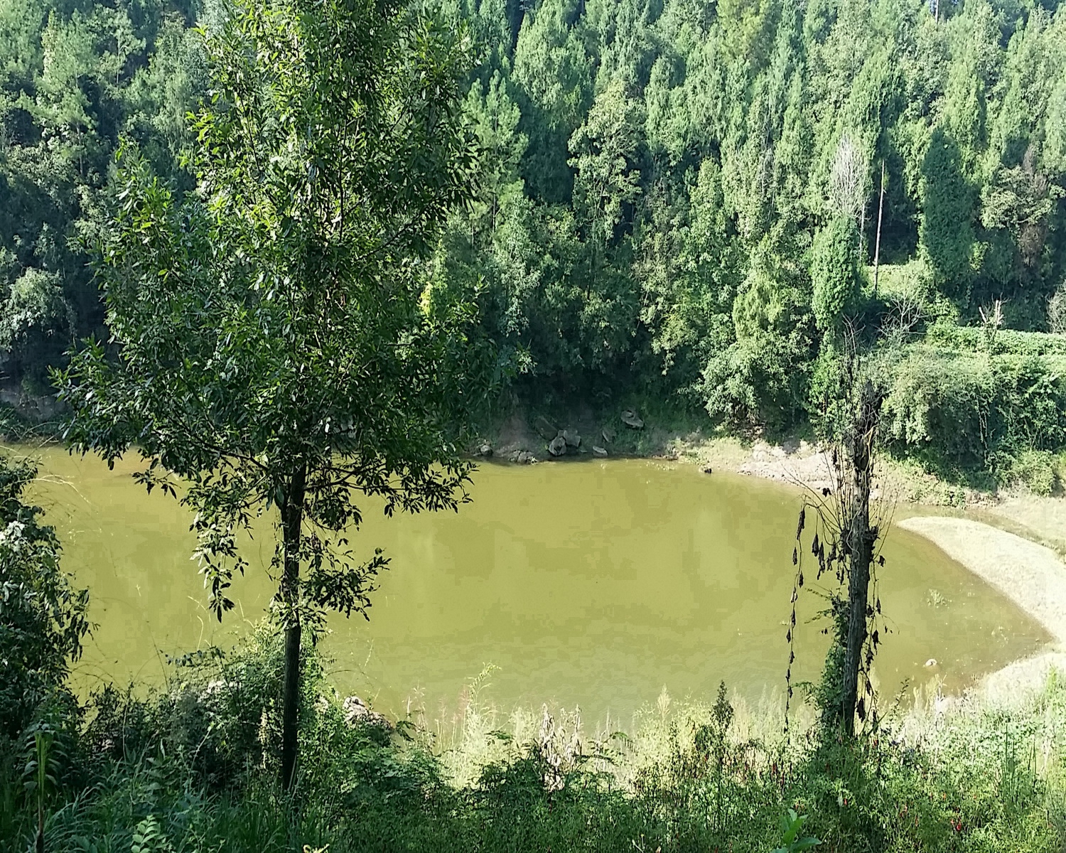 川柏树水库