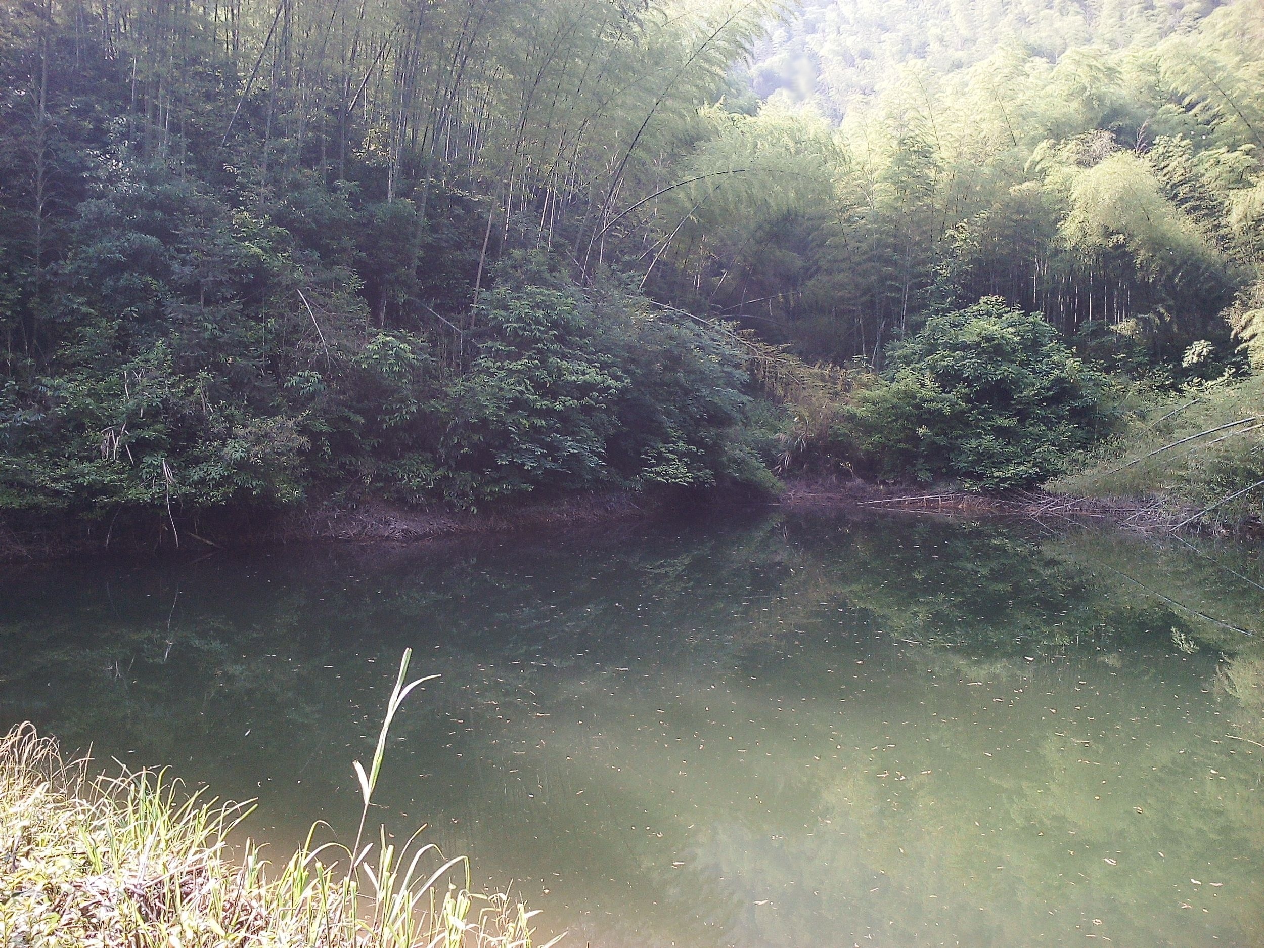 牛周坞山塘水库