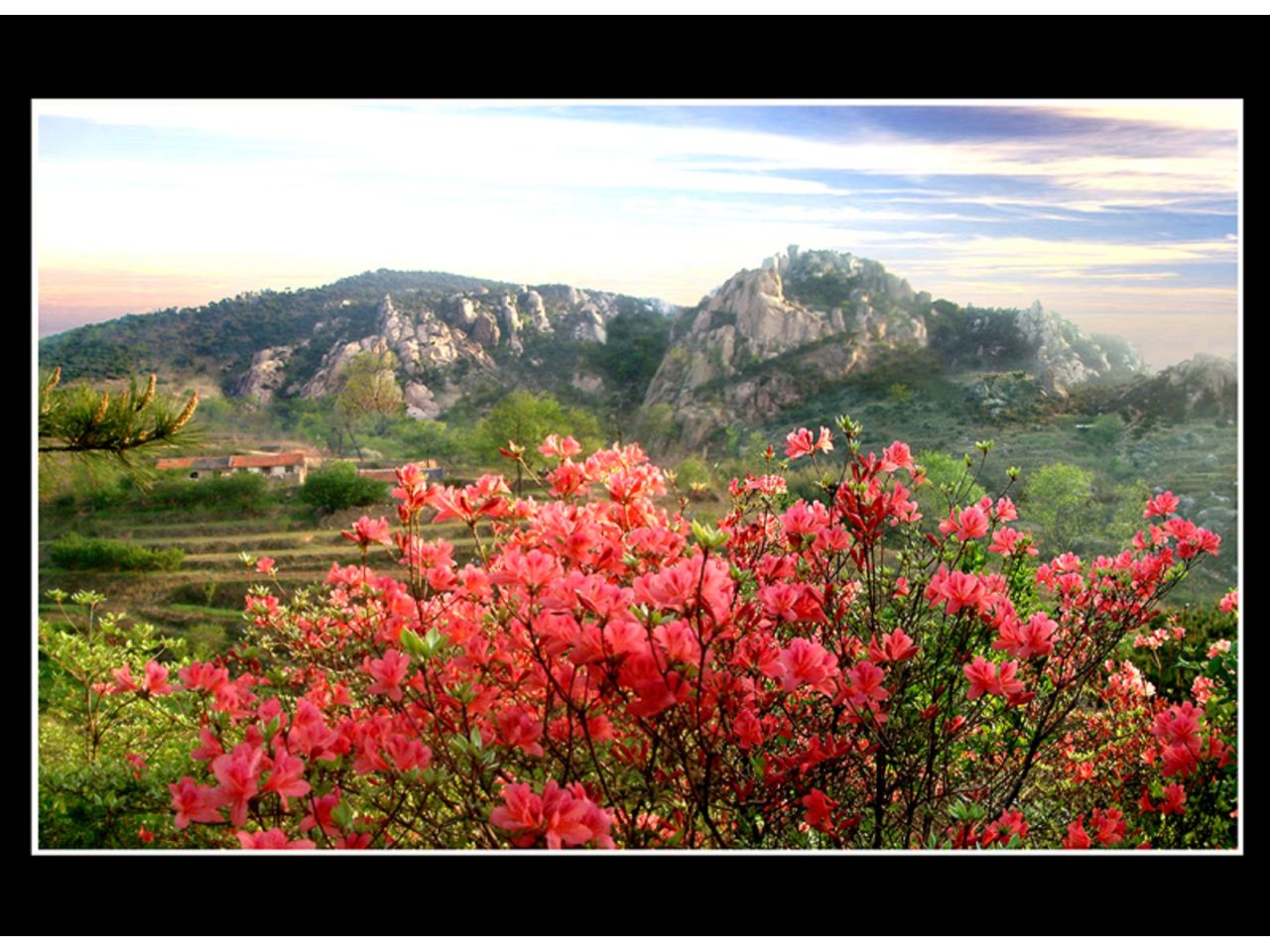 大青山风景区