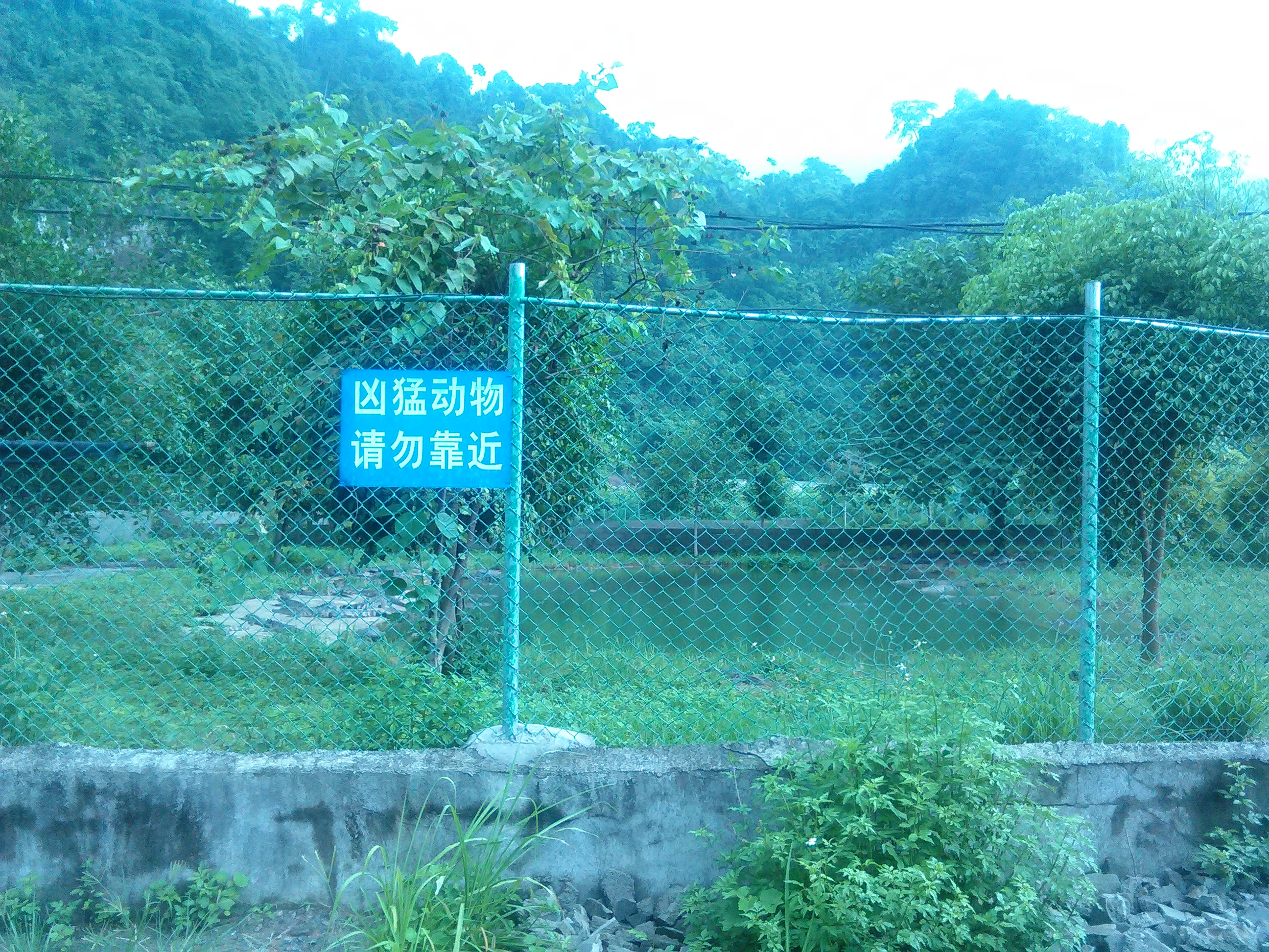 河口鳄鱼养殖基地