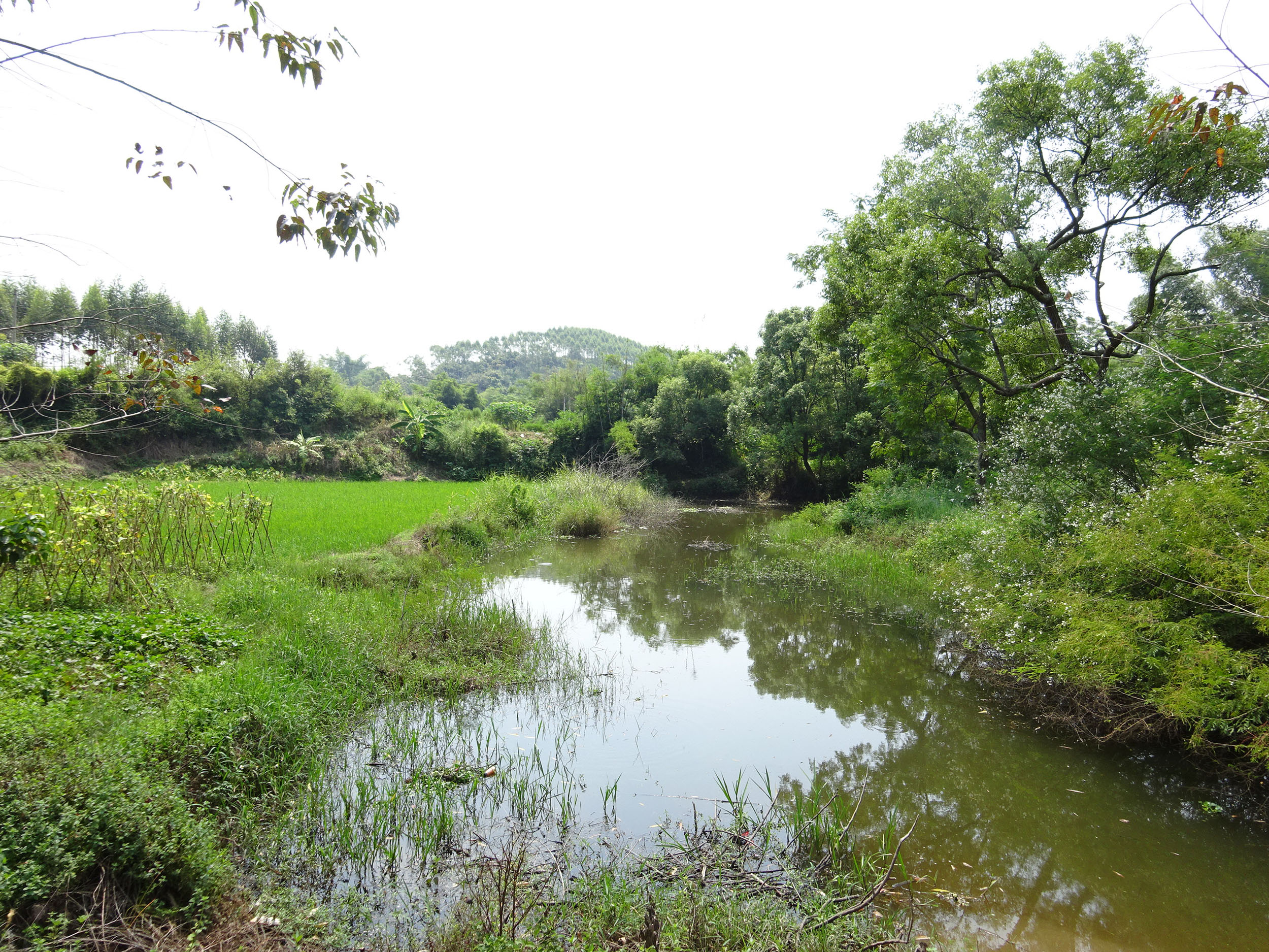 凤凰沟河