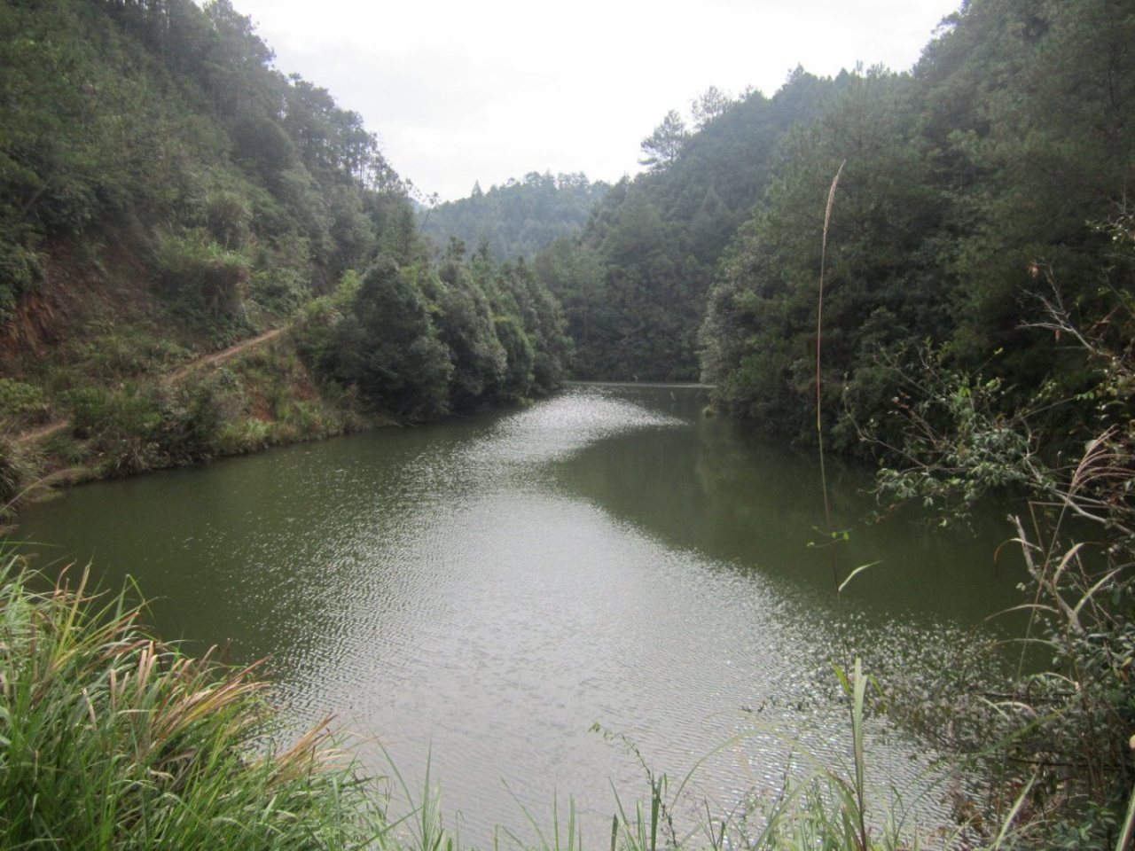 白坑山塘水库