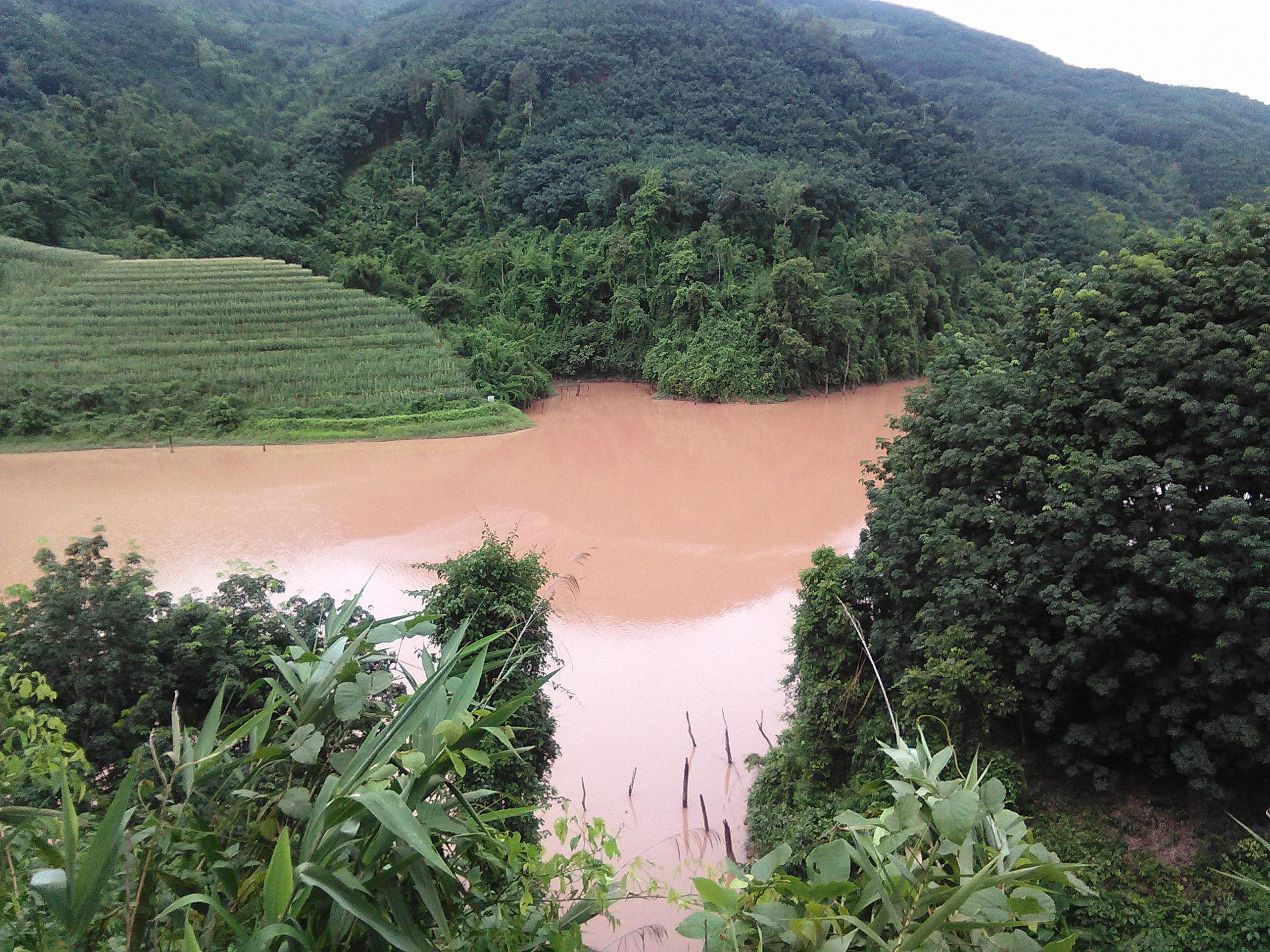 李仙江热带旅游度假区