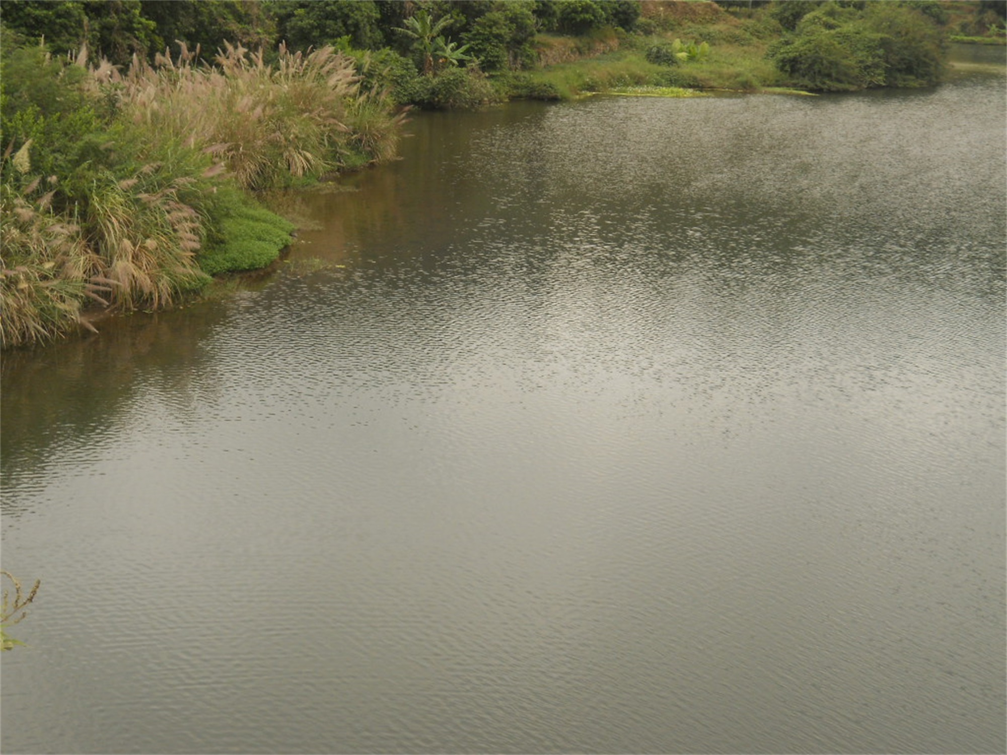 卖油灯水库