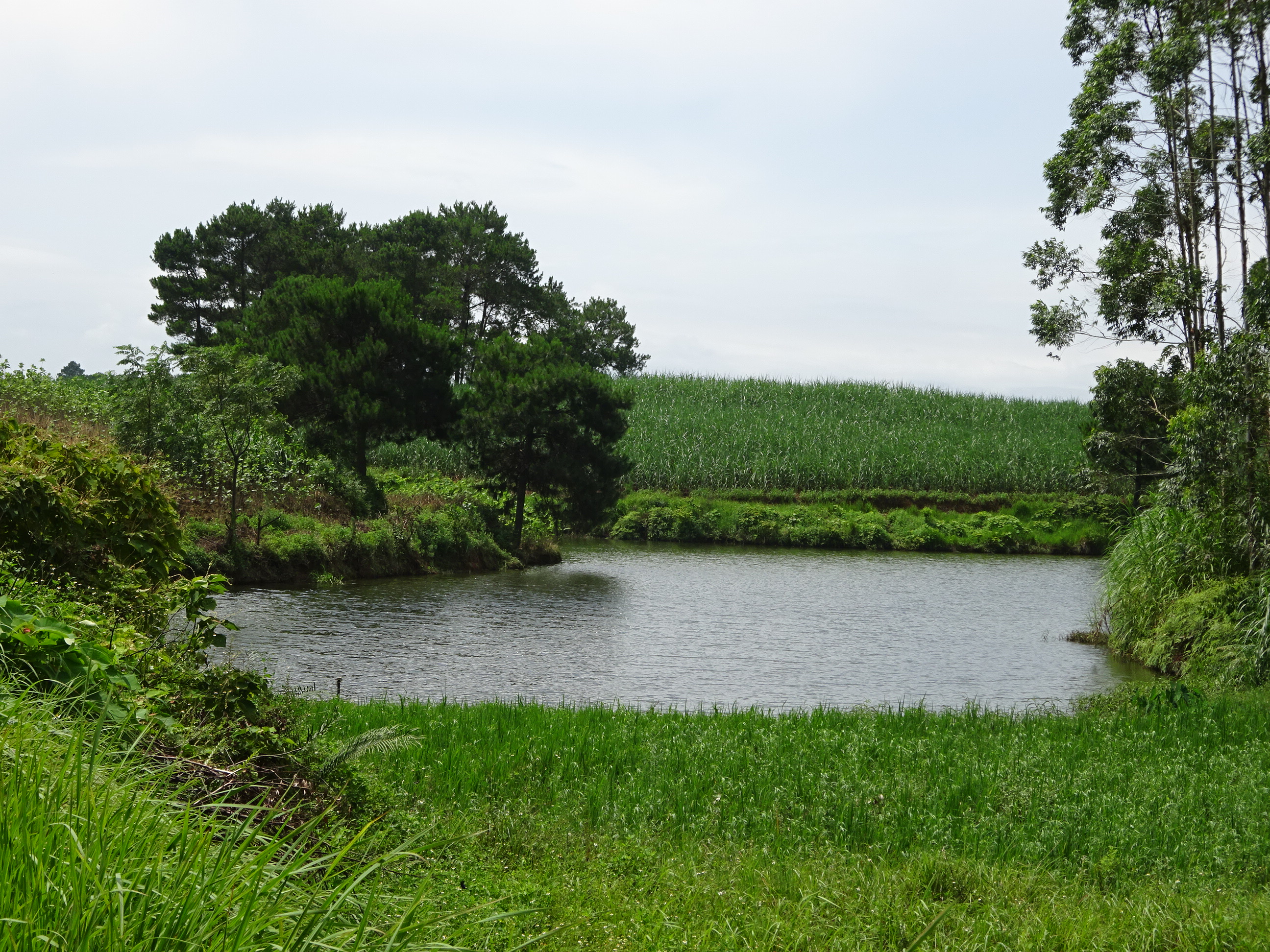 雁曹水库