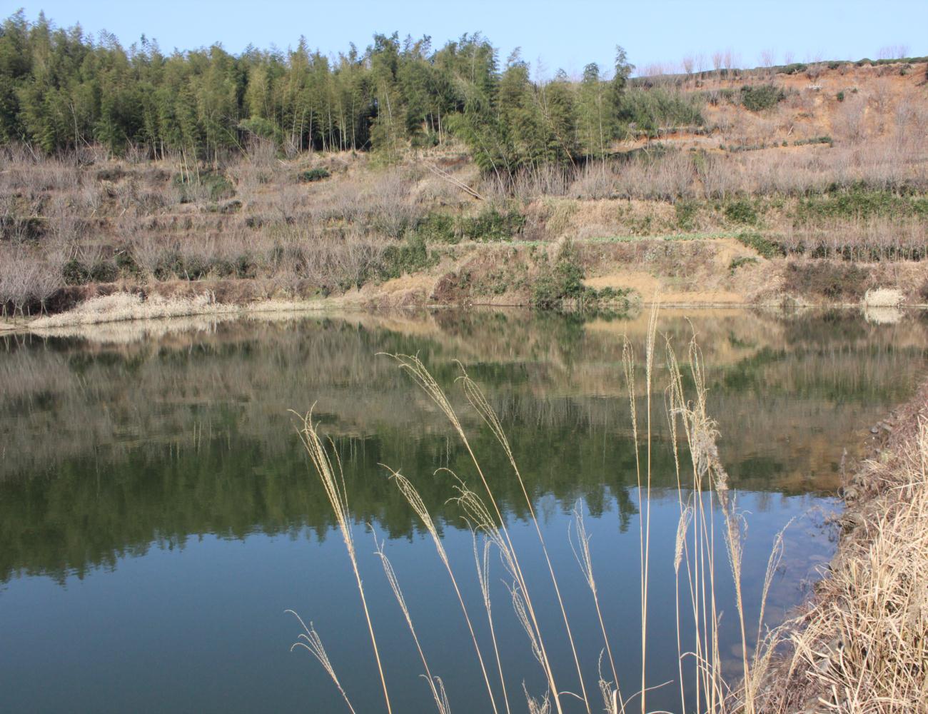 上海湾水库