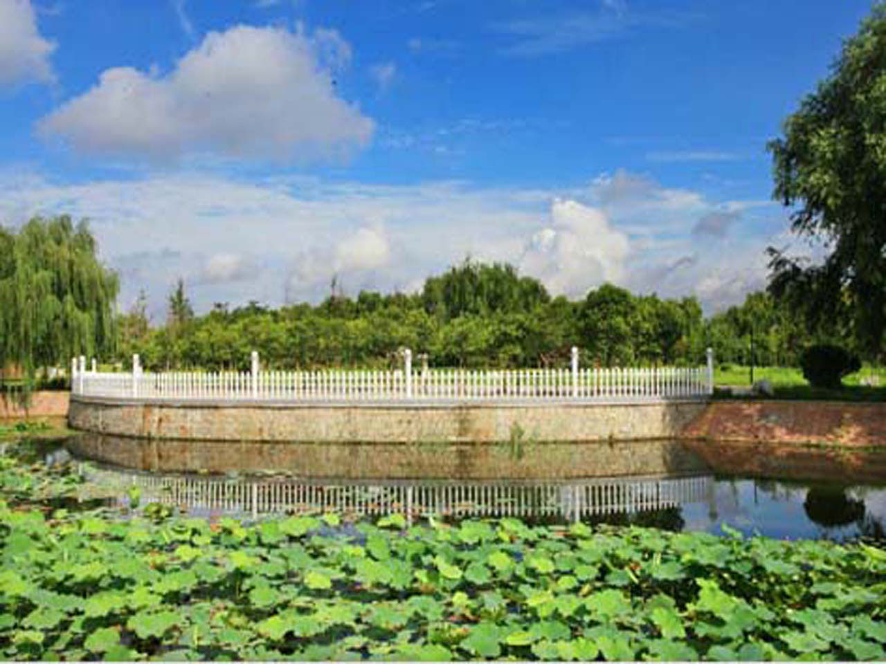 胶河水利风景区