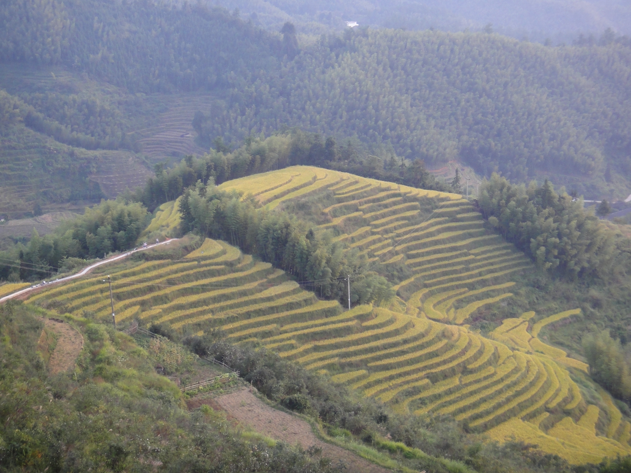 赤水梯田