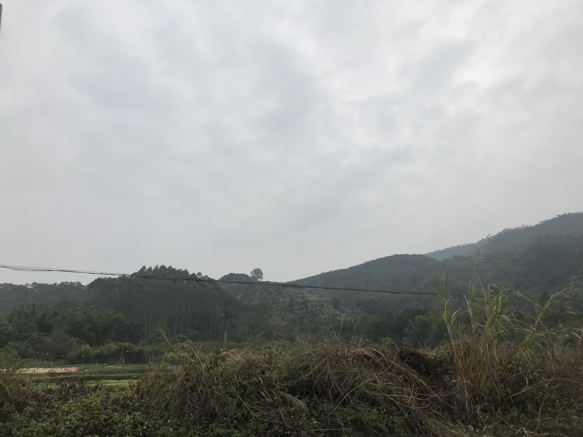 鹿洞山森林公园