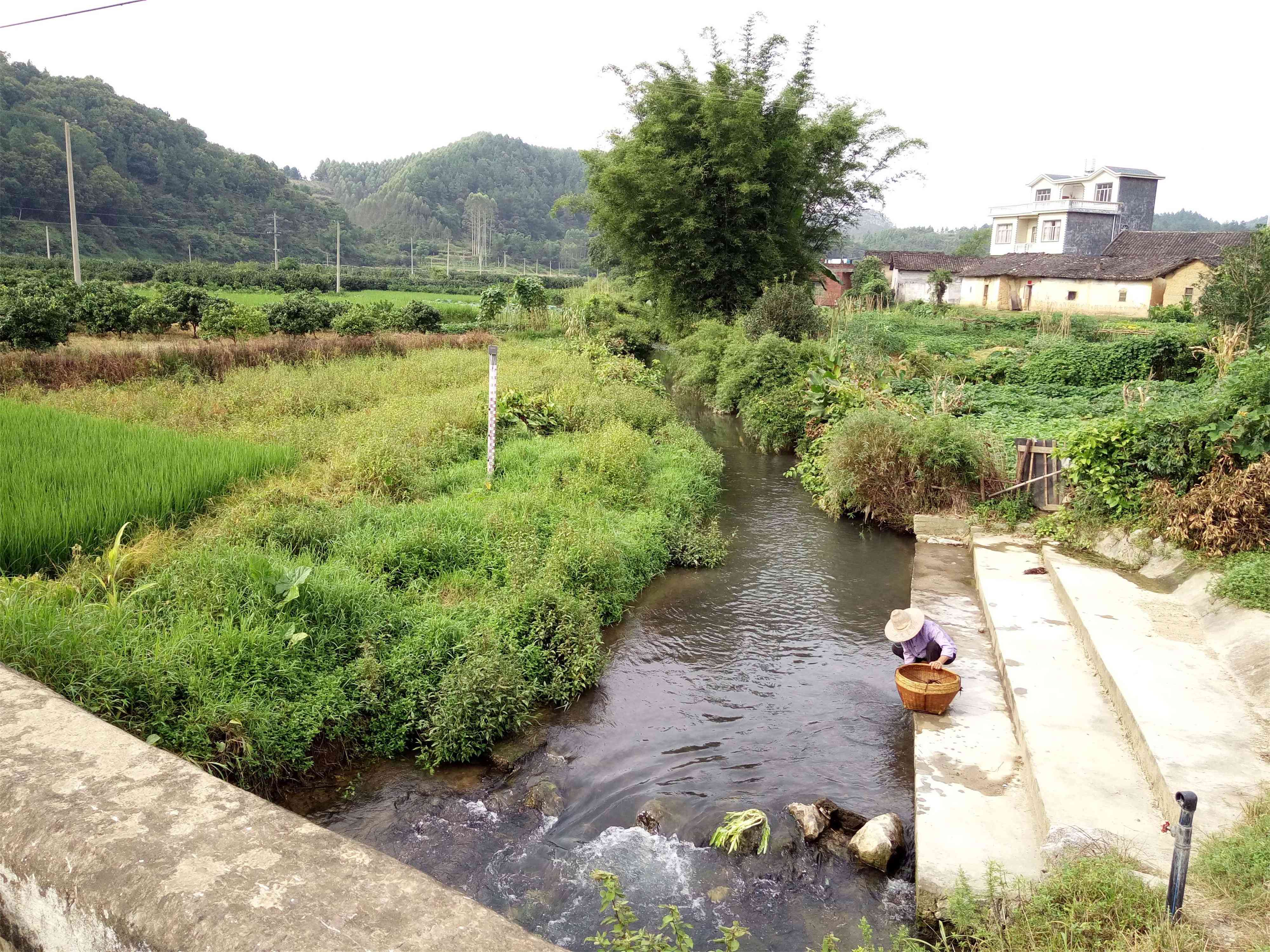 对门河