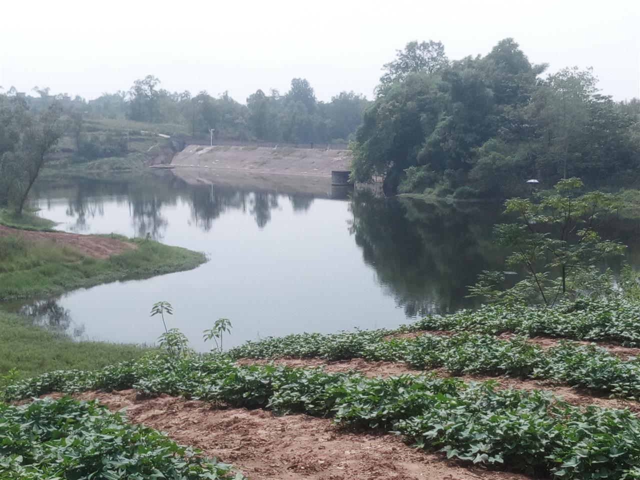 朱家湾水库