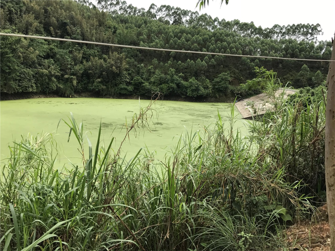 大水冲水库