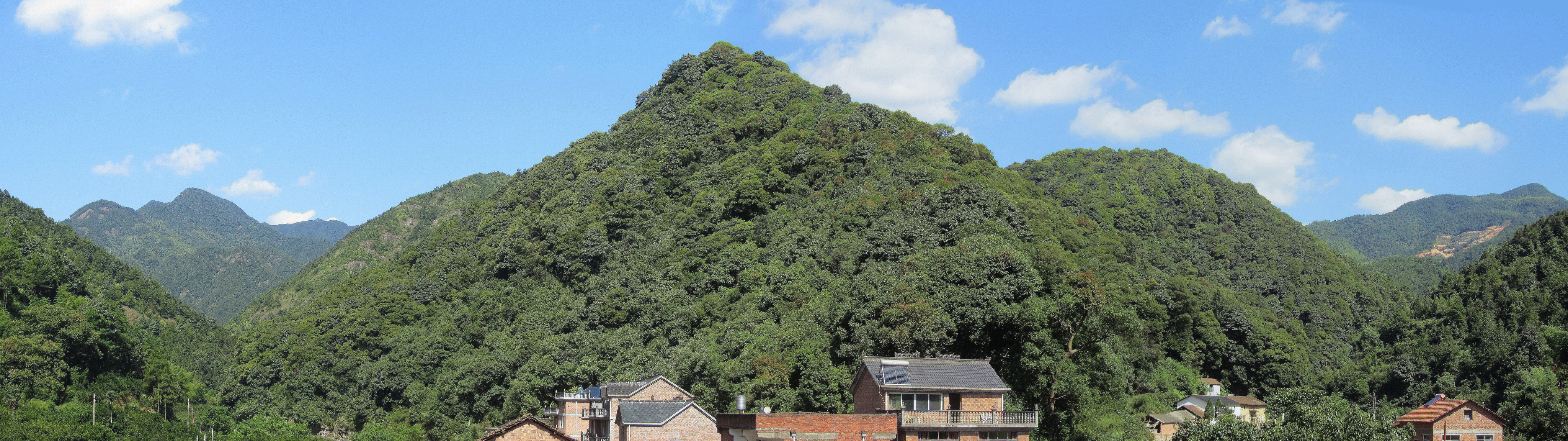 大荫山黑麂自然保护小区