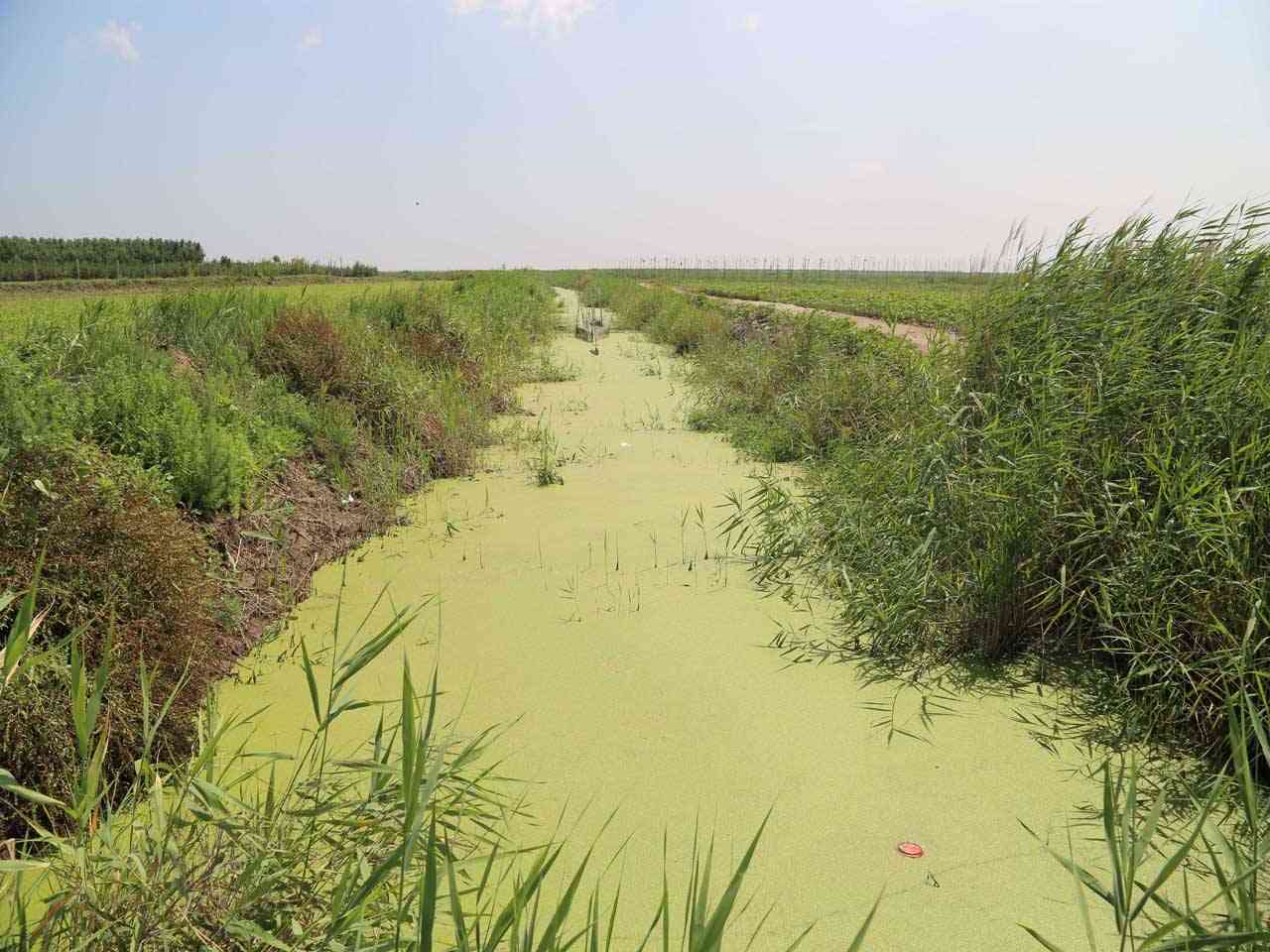 预备河