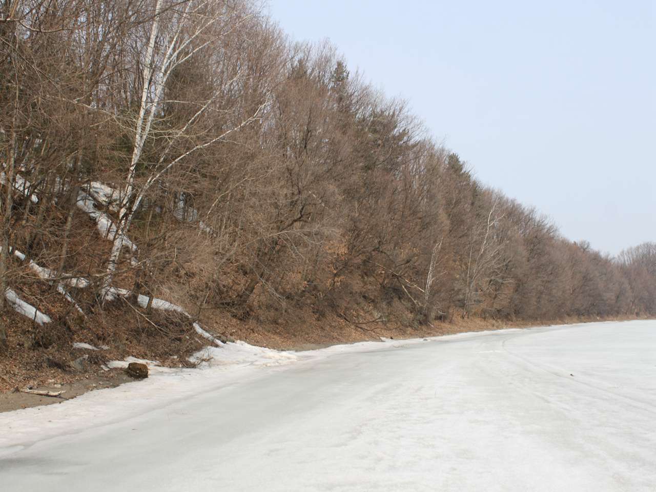 马龙泡