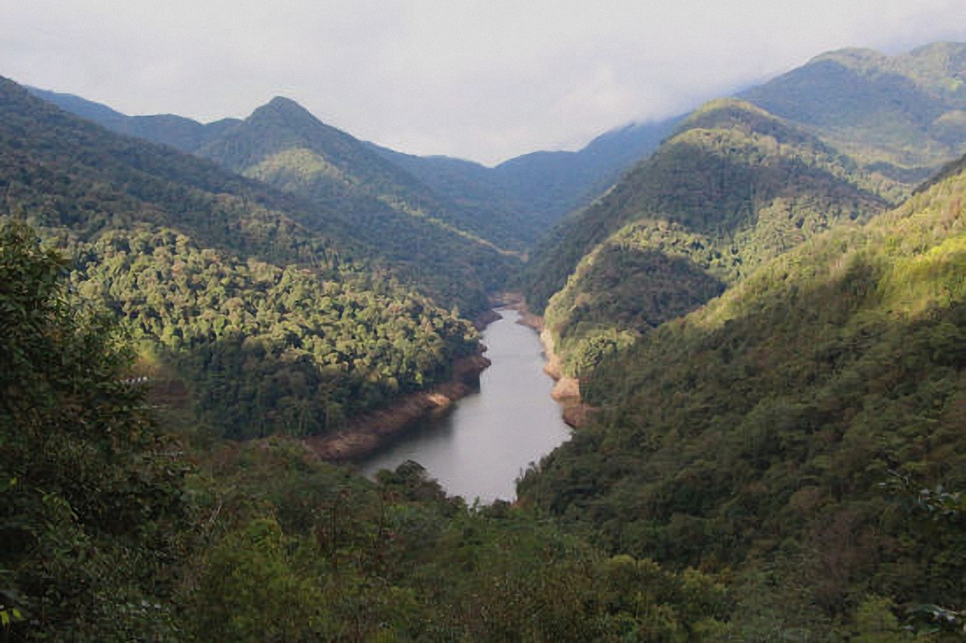 黄连山国家级自然保护区