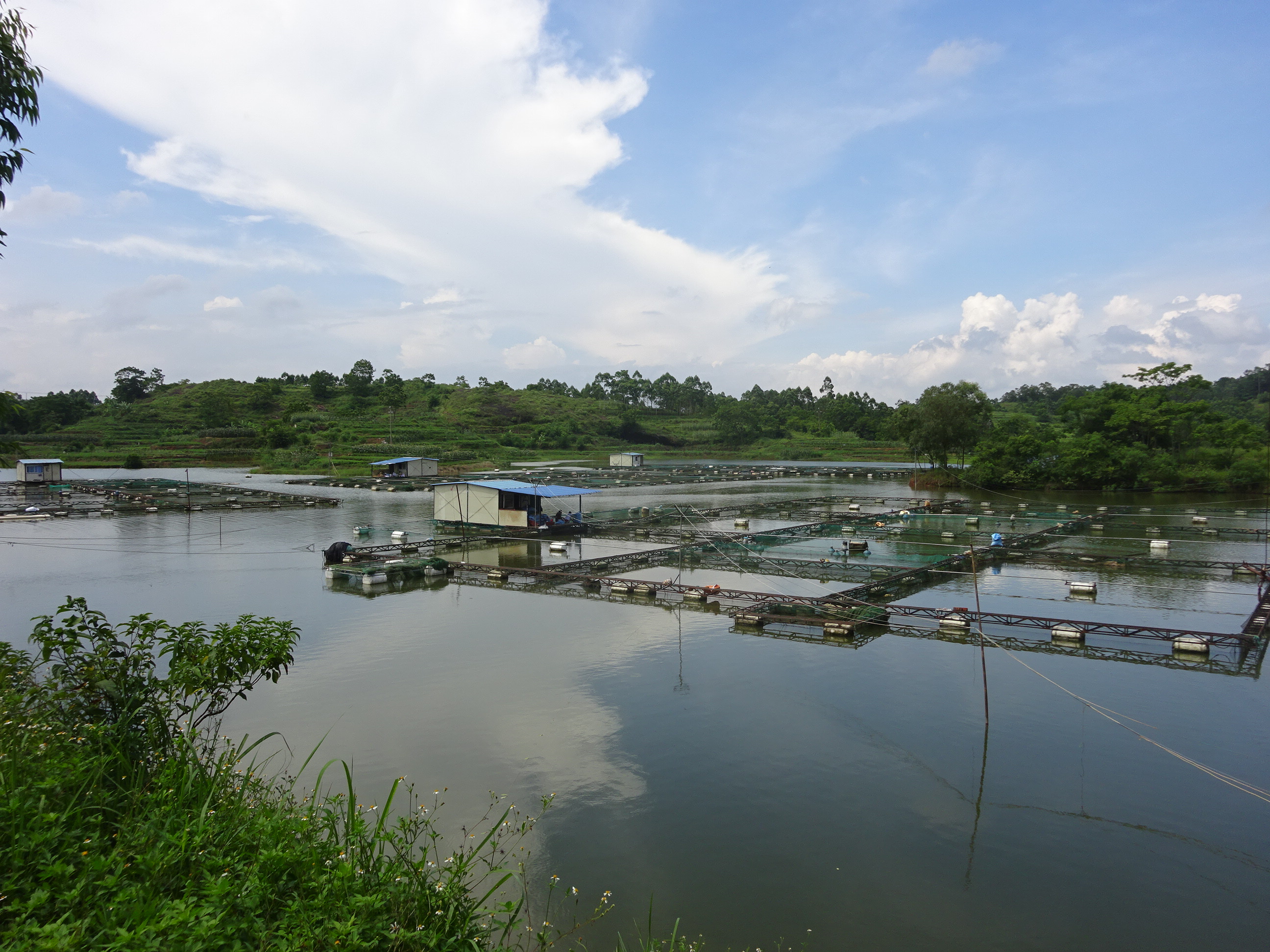 长岭水库