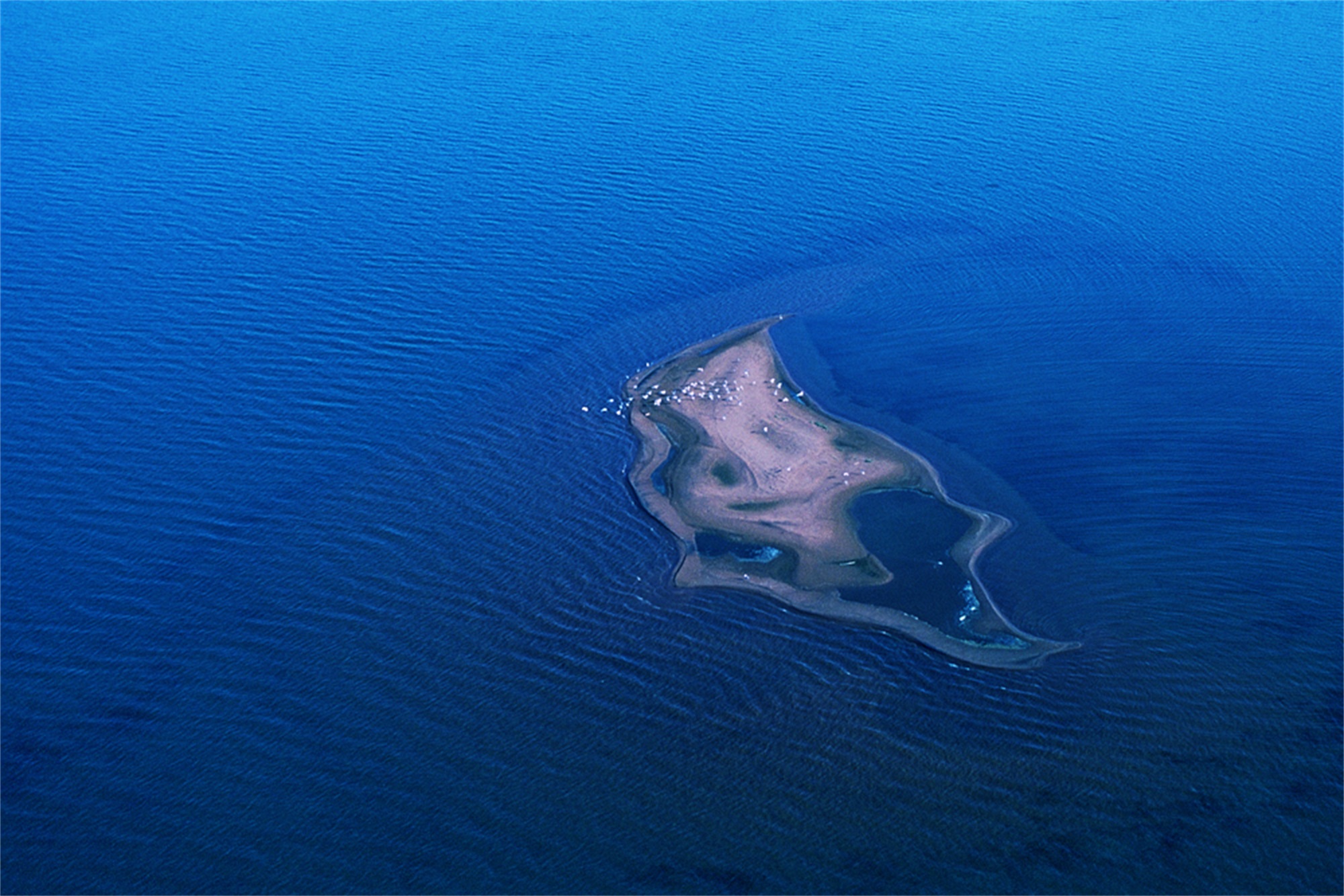 红碱淖风景区