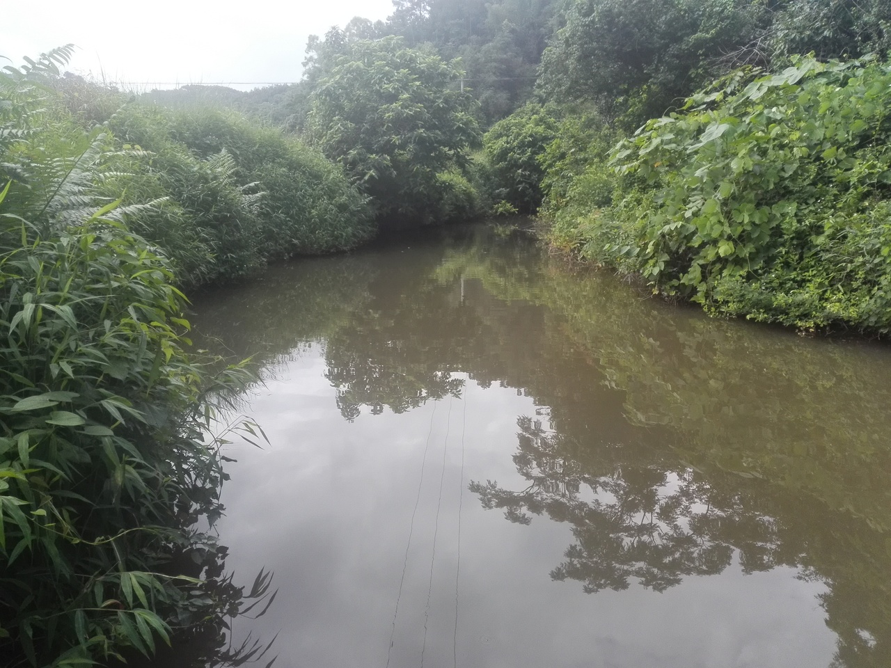 新圩河