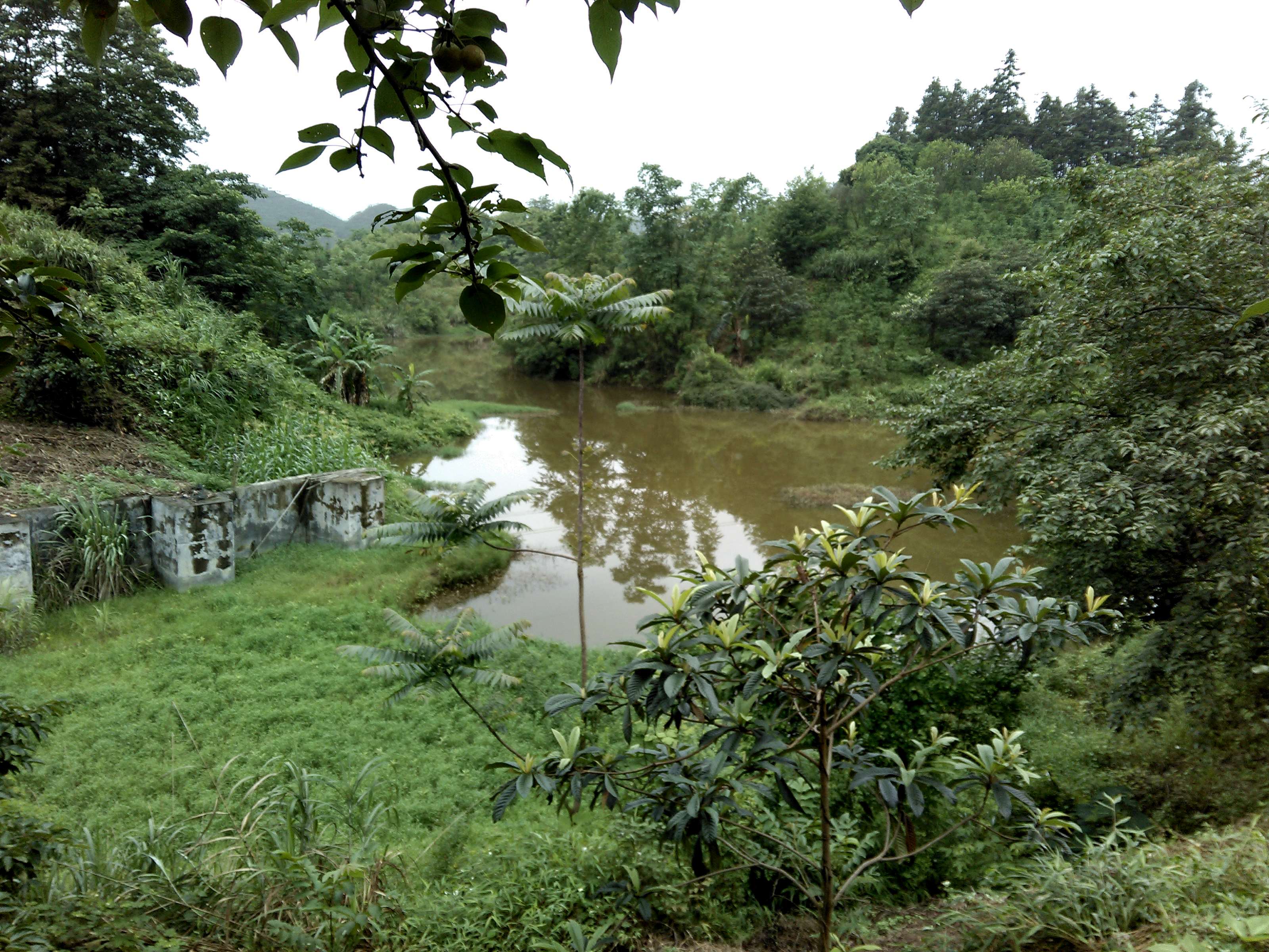 友谊水库