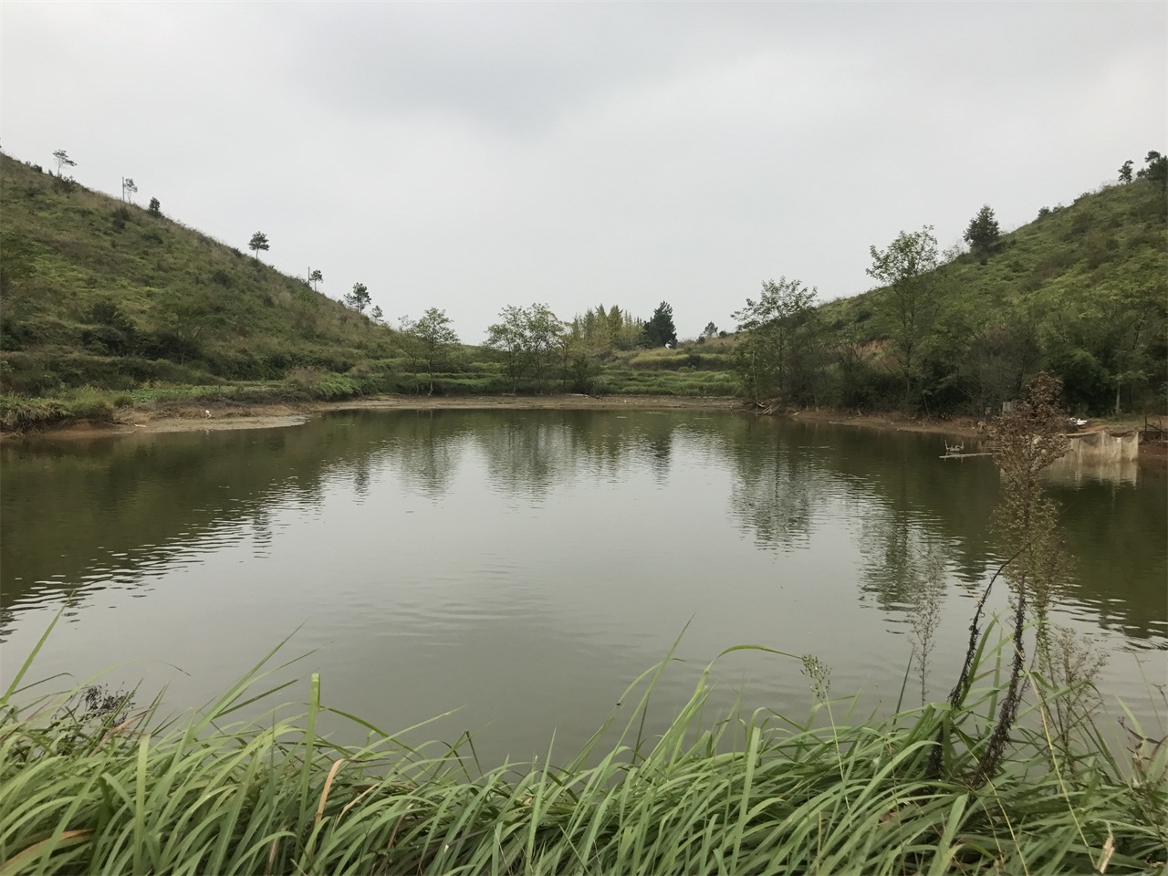 禁山里水库