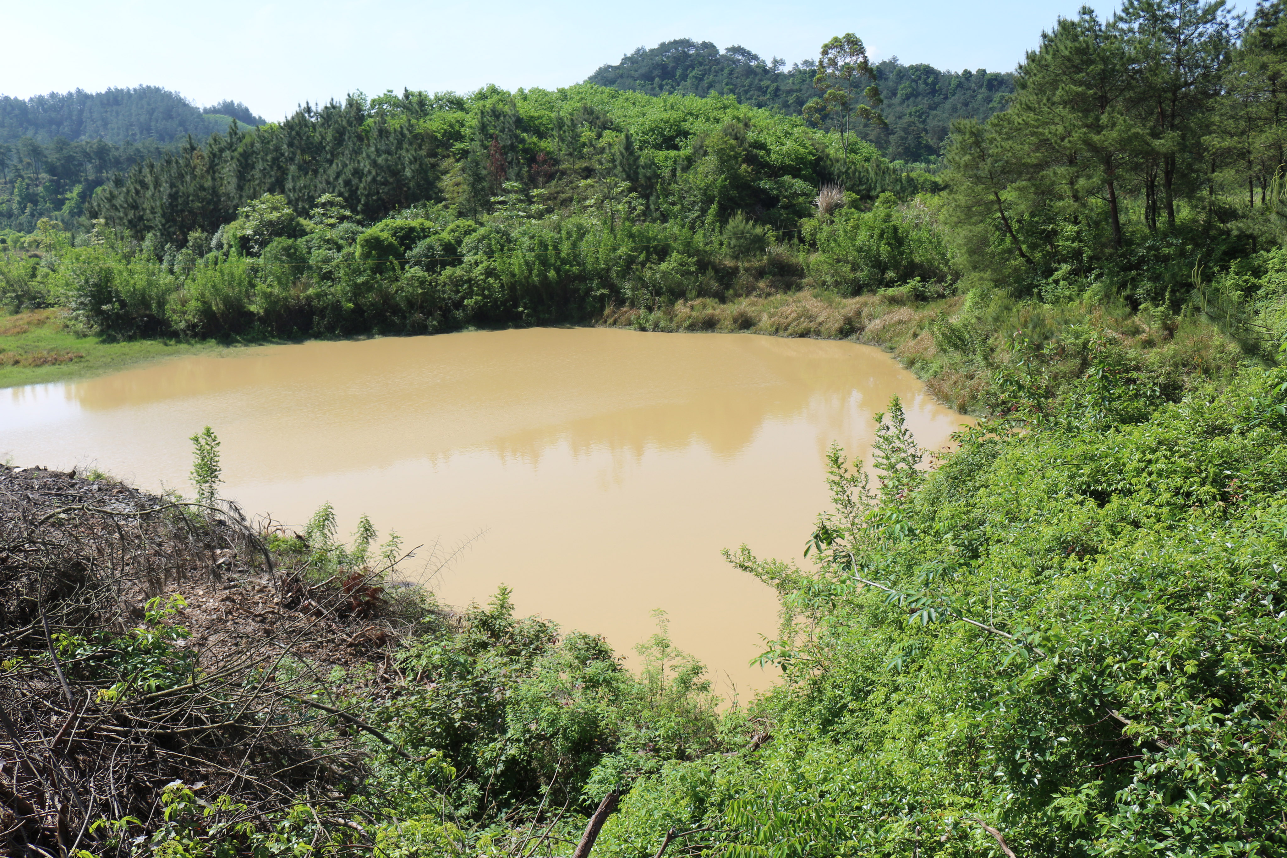 新塘口水库