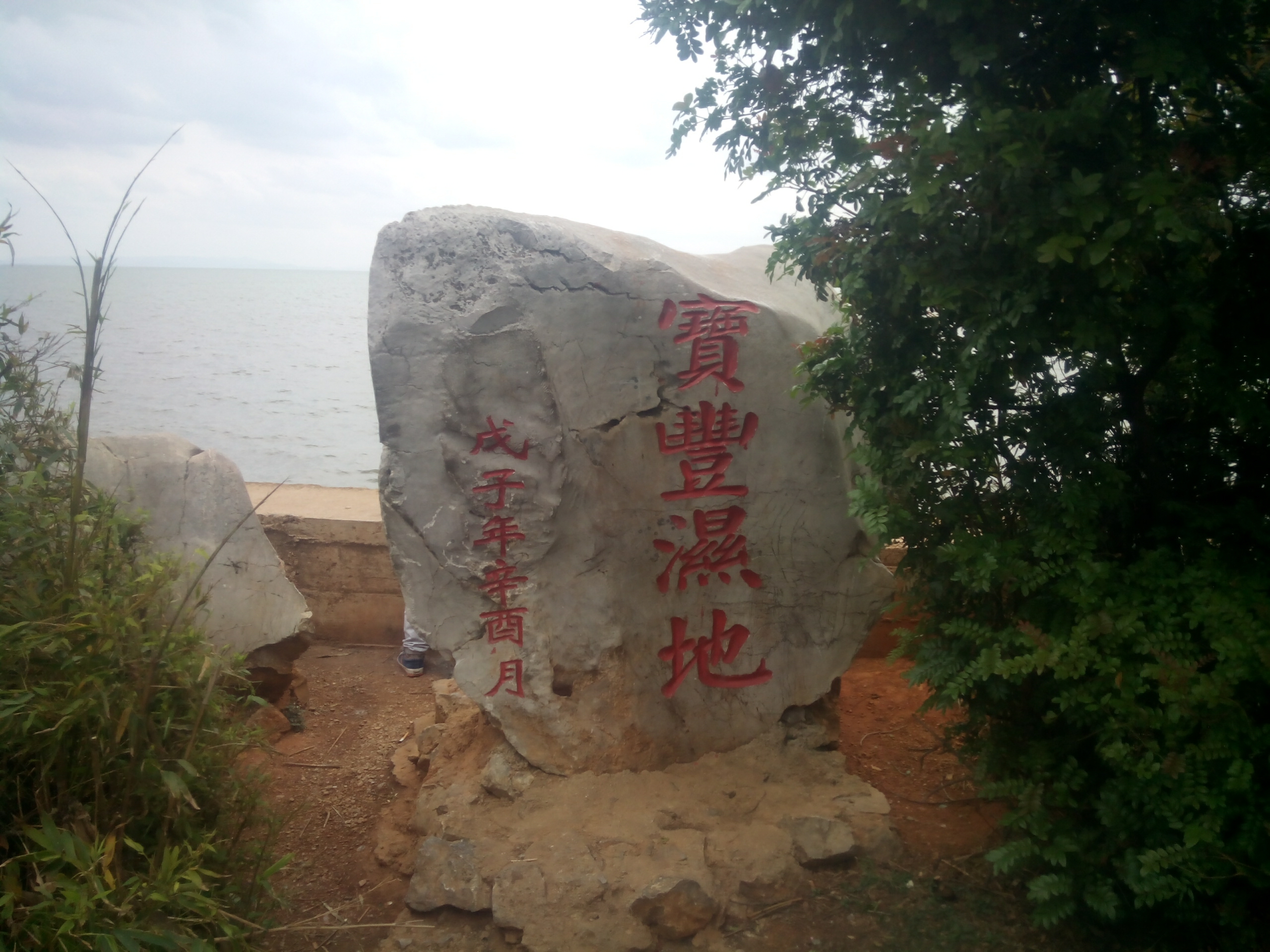 宝丰湿地公园