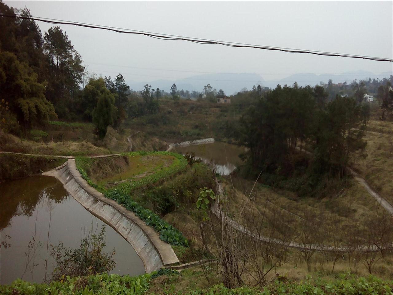 毛坝水库