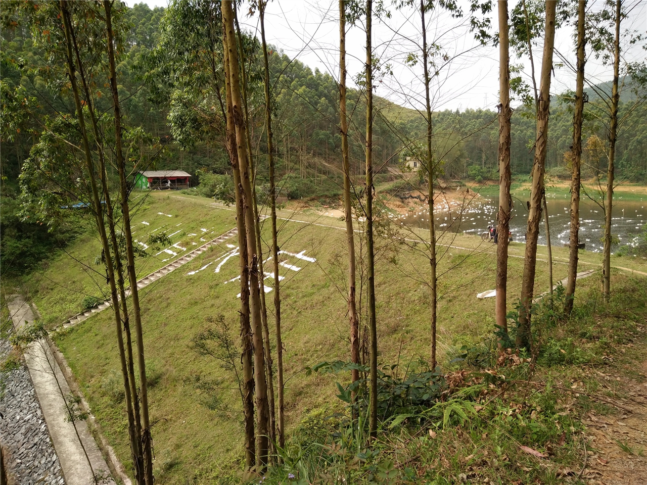 石山背水库