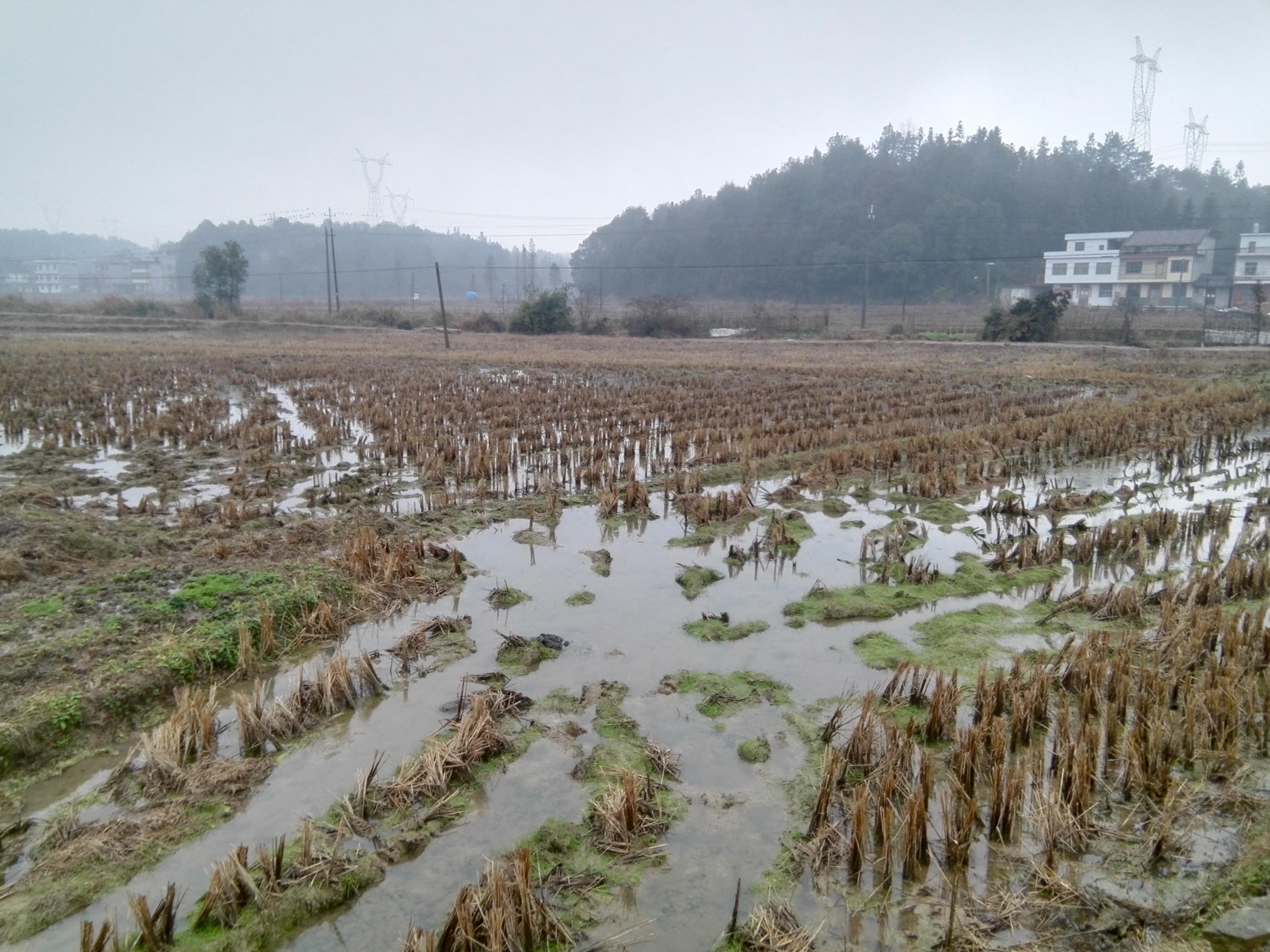 河涵里山塘