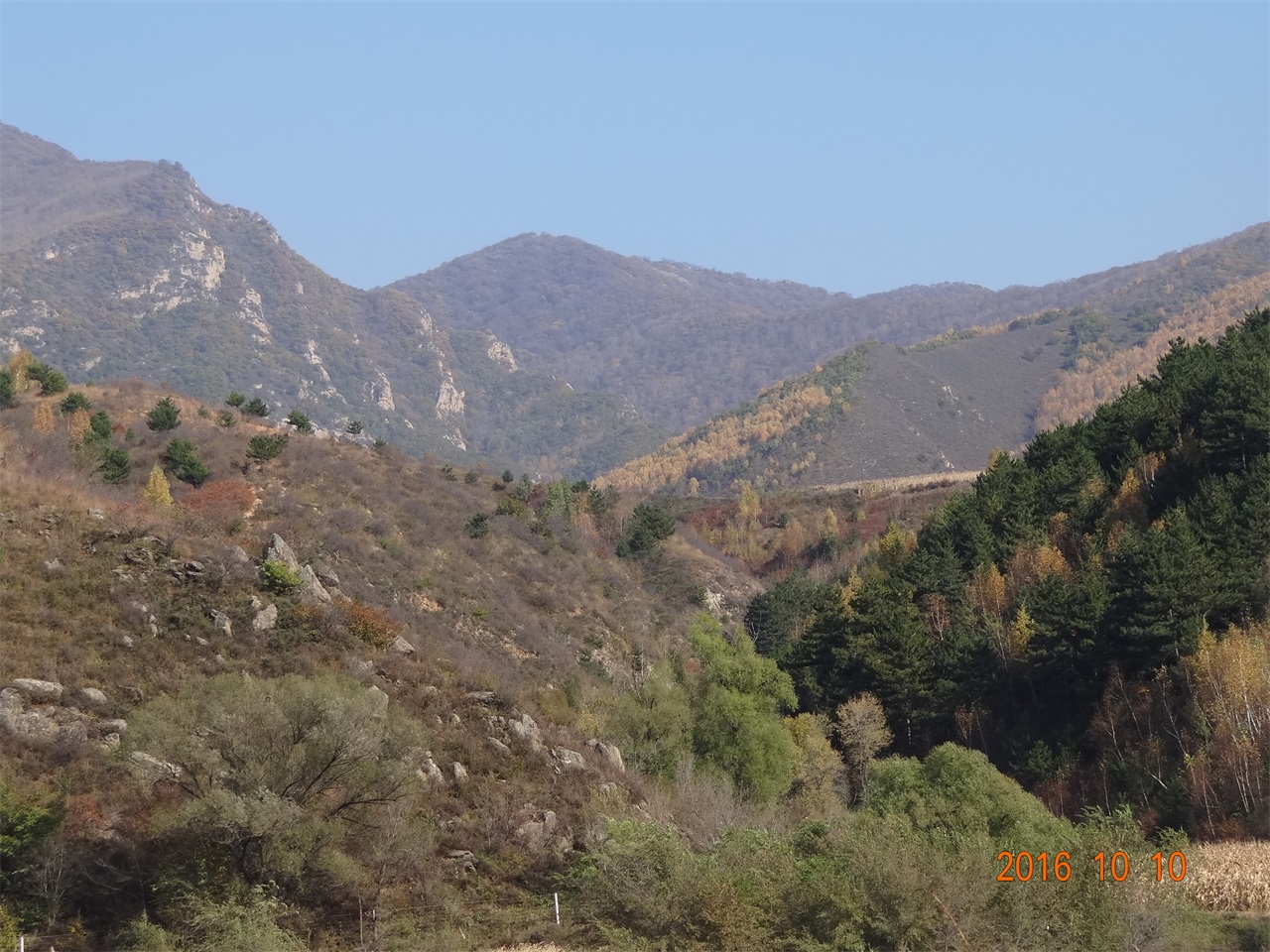 莜麦地沟