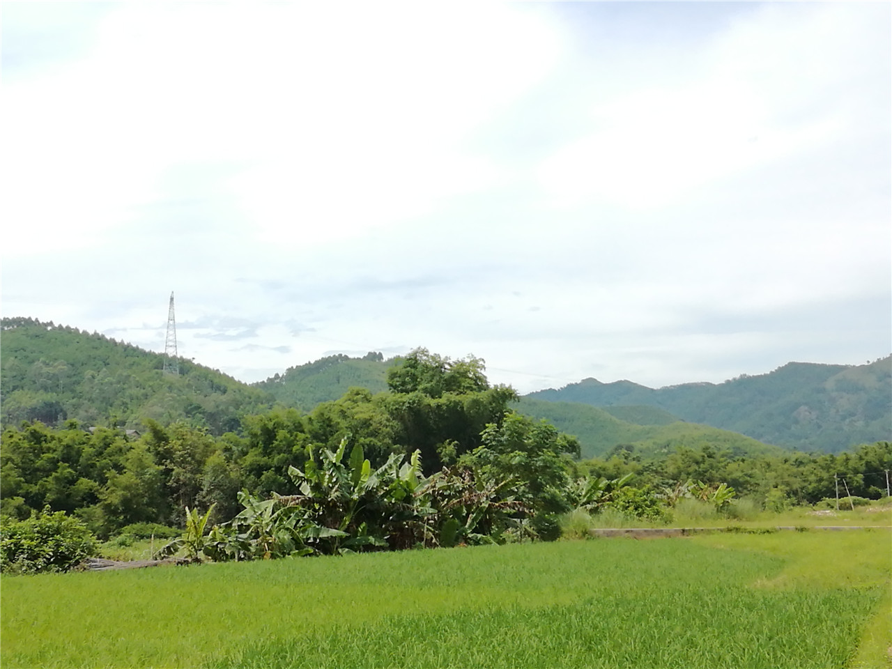 琴来沟