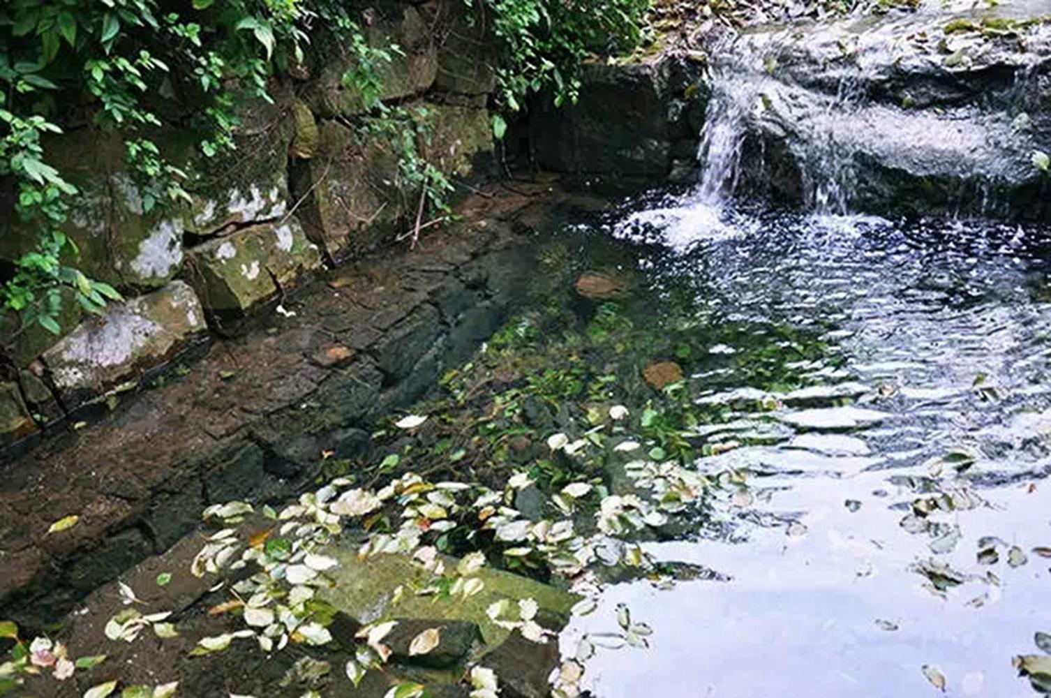 鹿饮泉