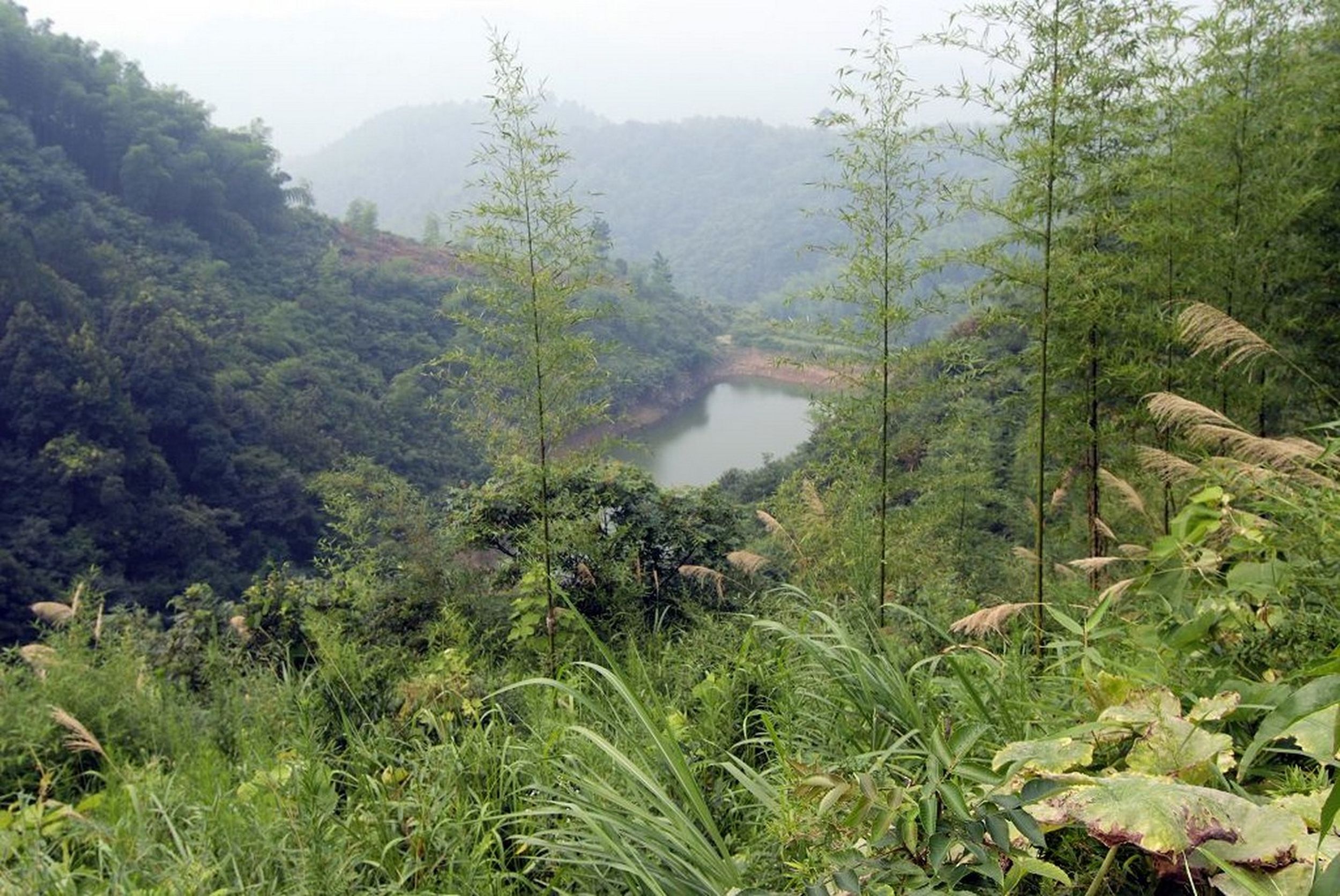 老金湾水库