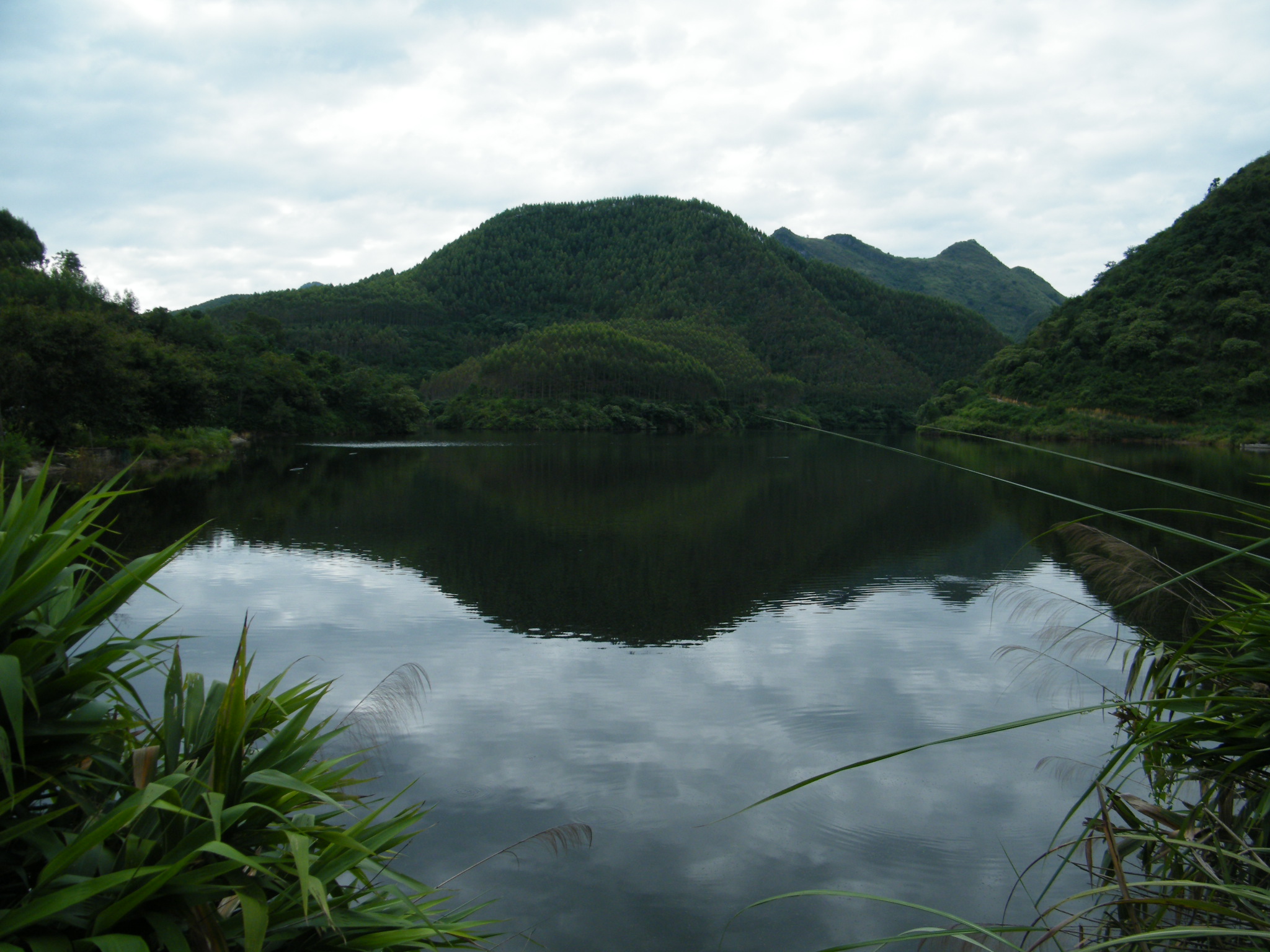 塘狂水库