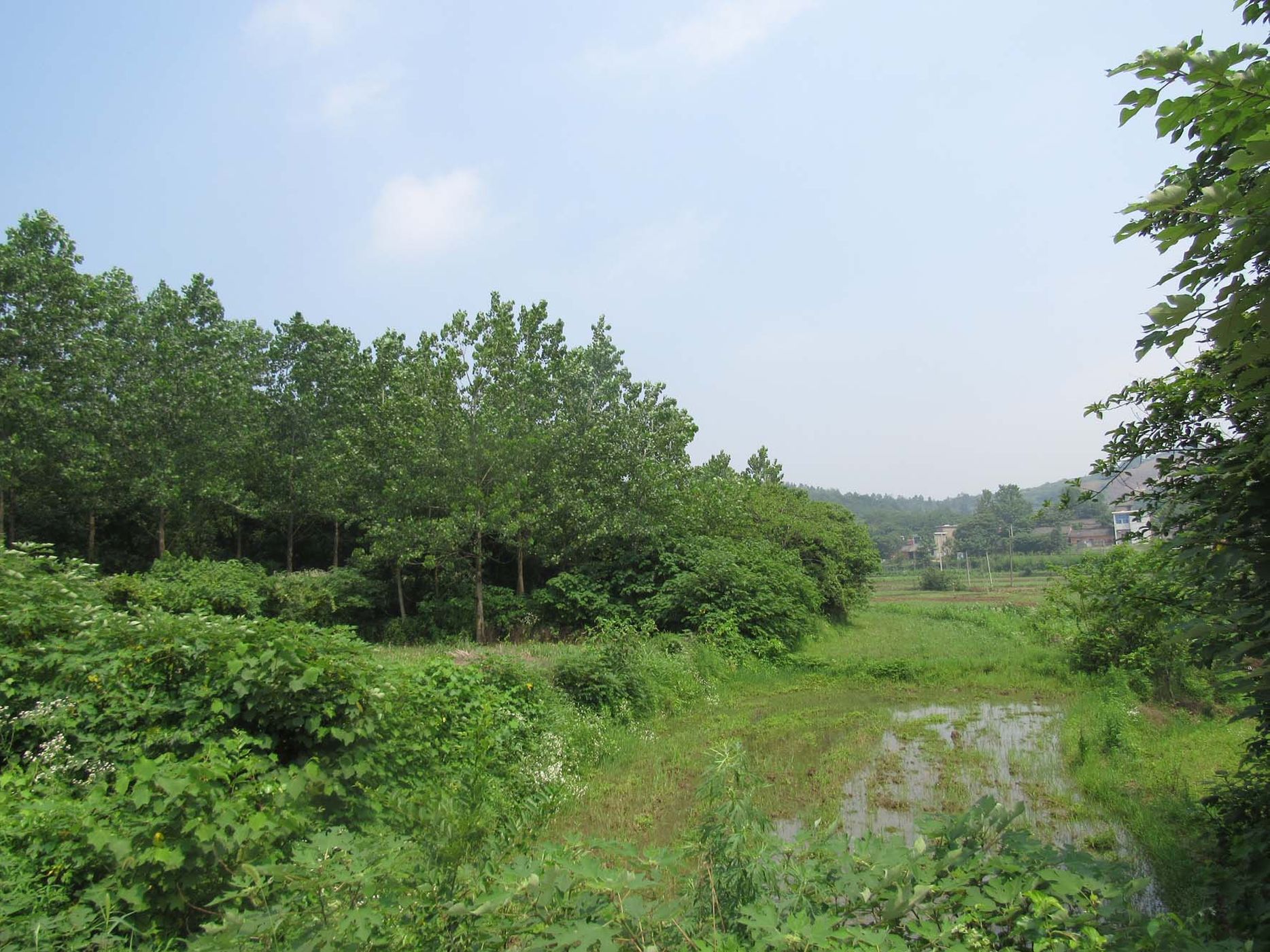 鸡笼山国家级森林公园