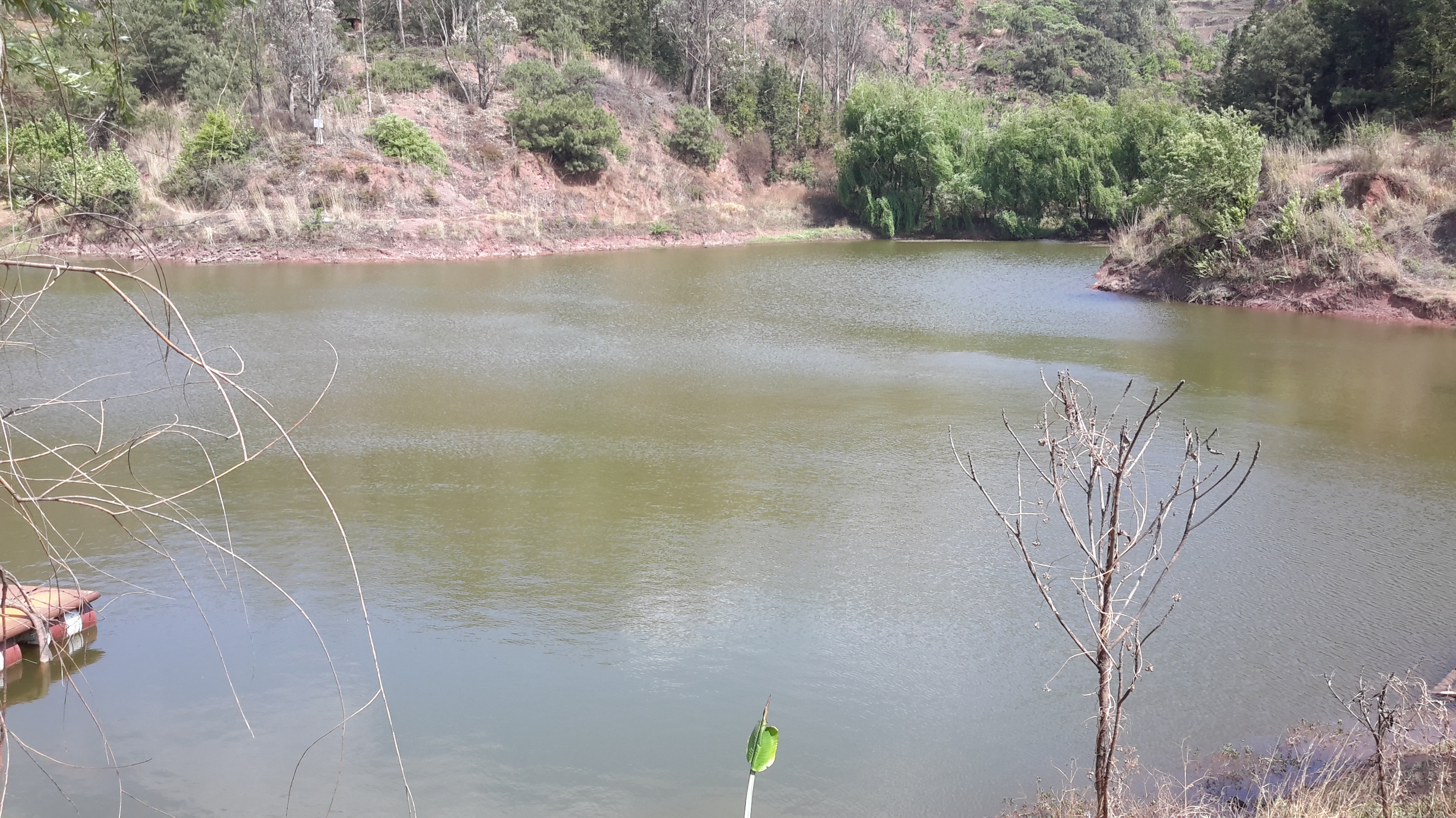 小麦冲水库