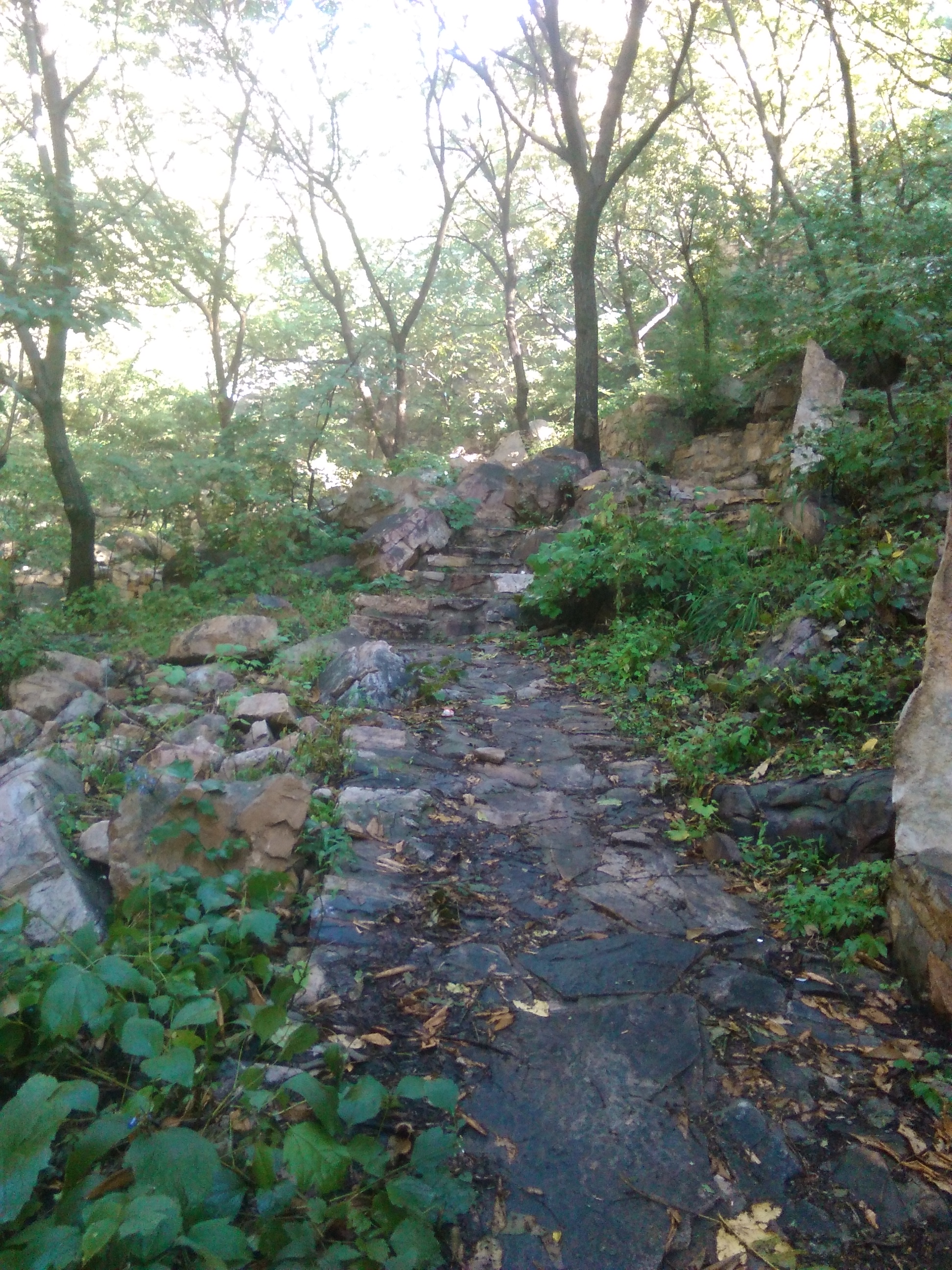 花峪水库景区