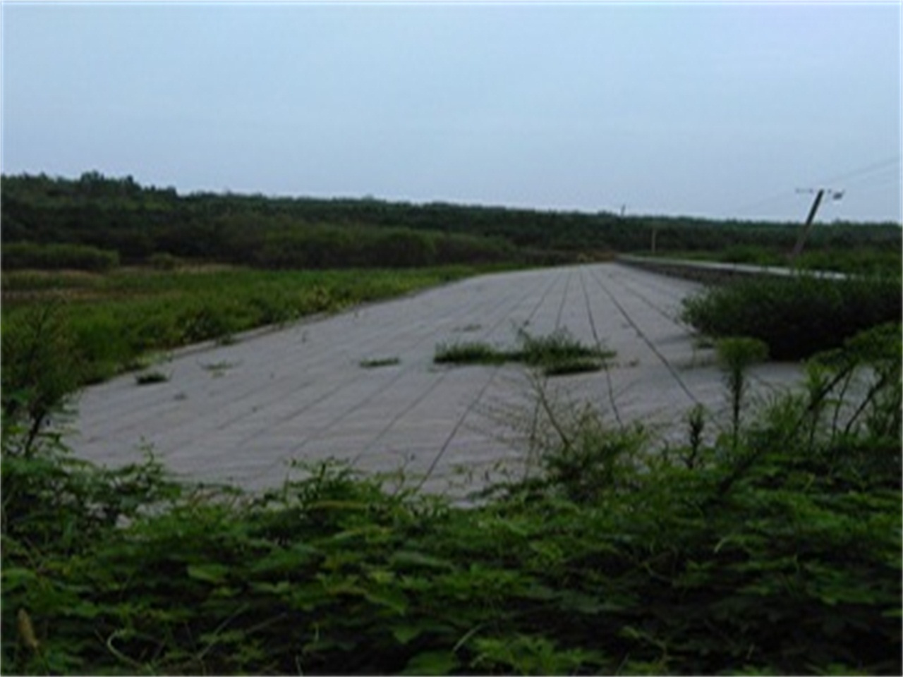 龙湾水库